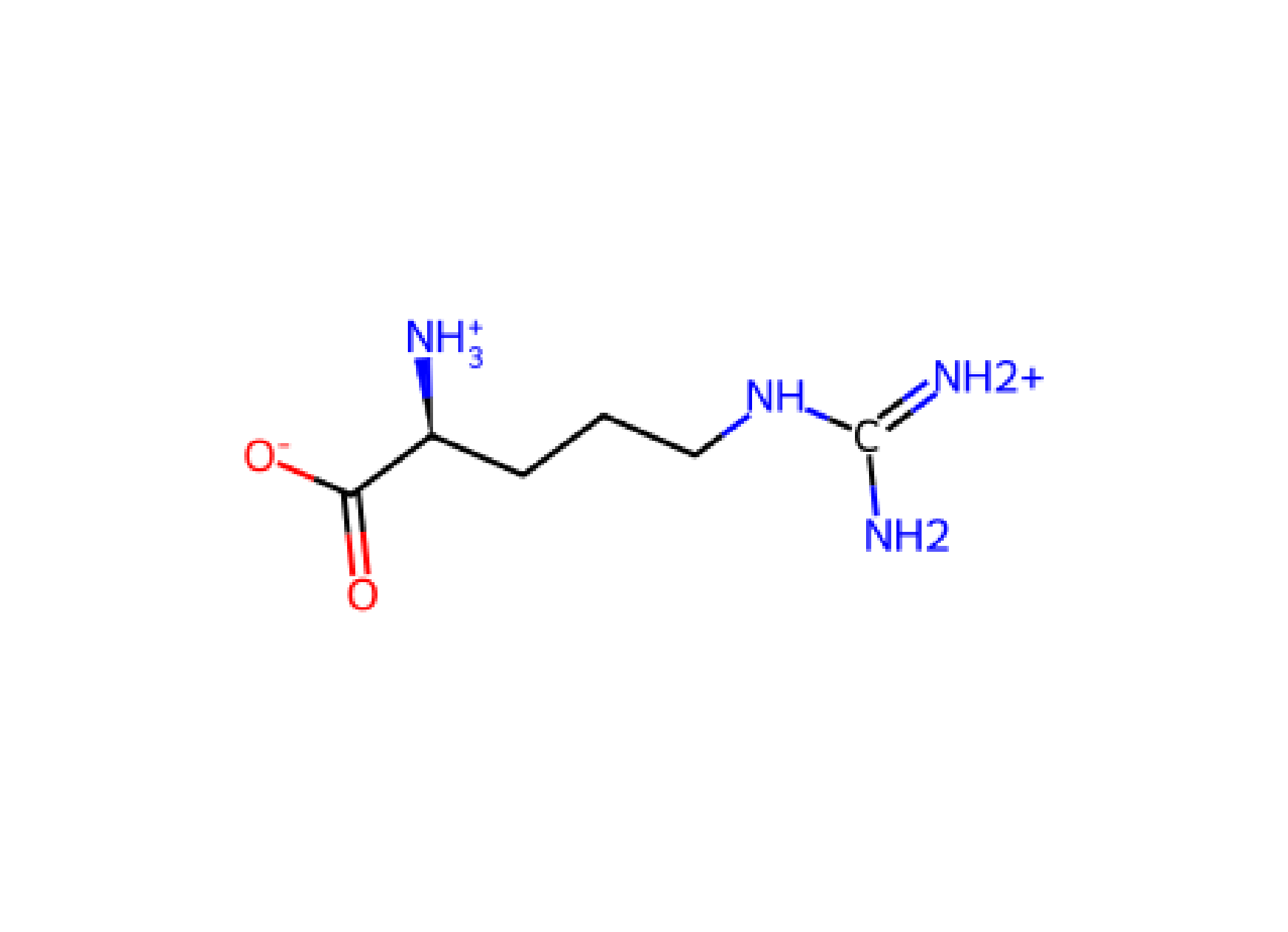 Arg Arginine R