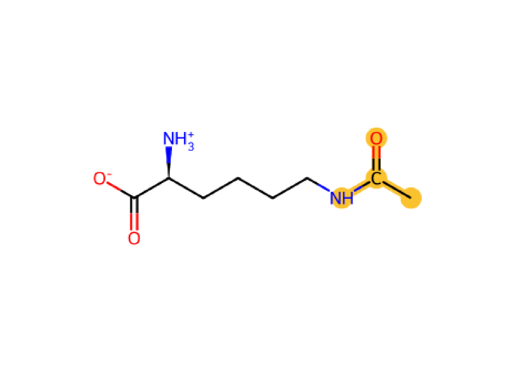 Lys AC KAC acetylation