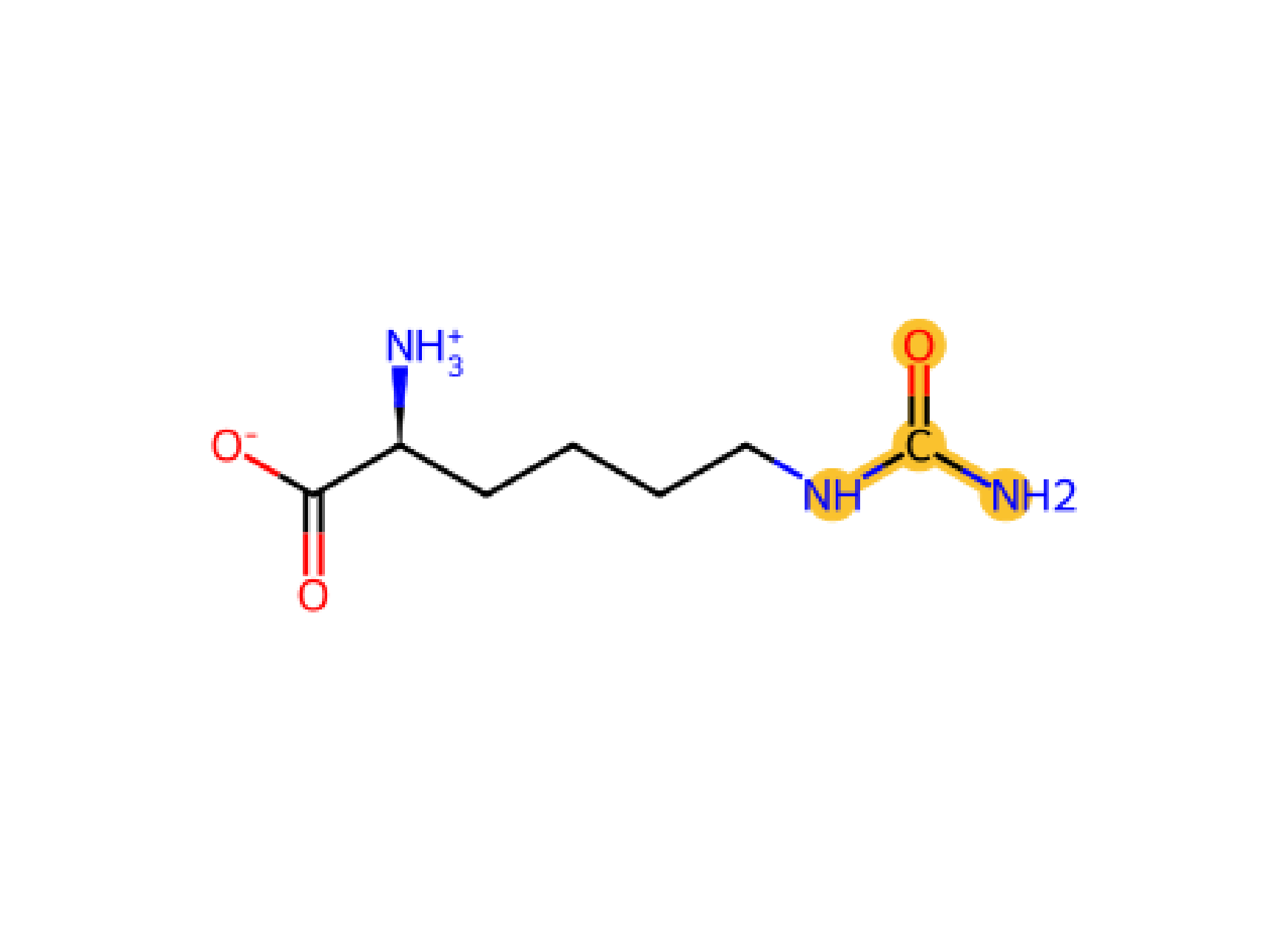 Lys CBM KCBM carbamylation