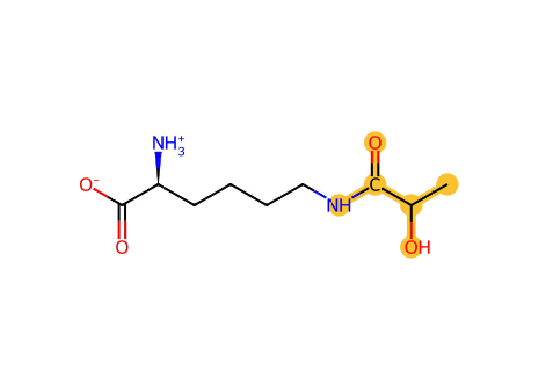 Lys LAC KLAC lactylation
