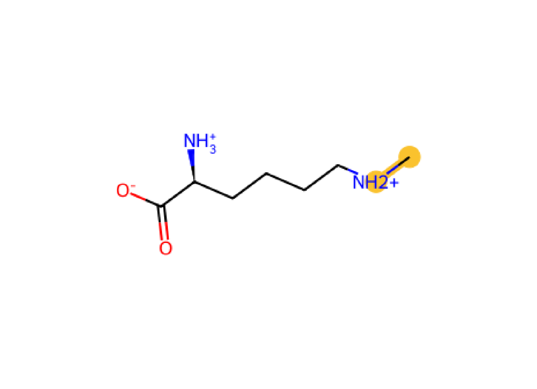 Lys N1M KN1M methylation