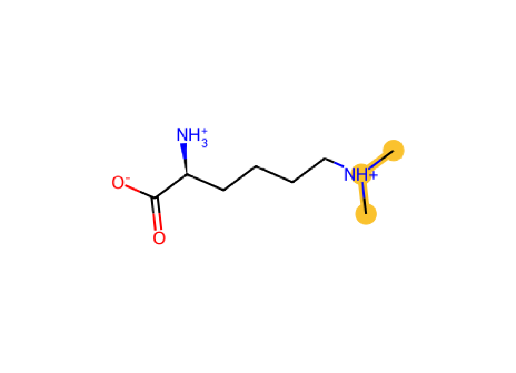 Lys N2M KN2M methylation