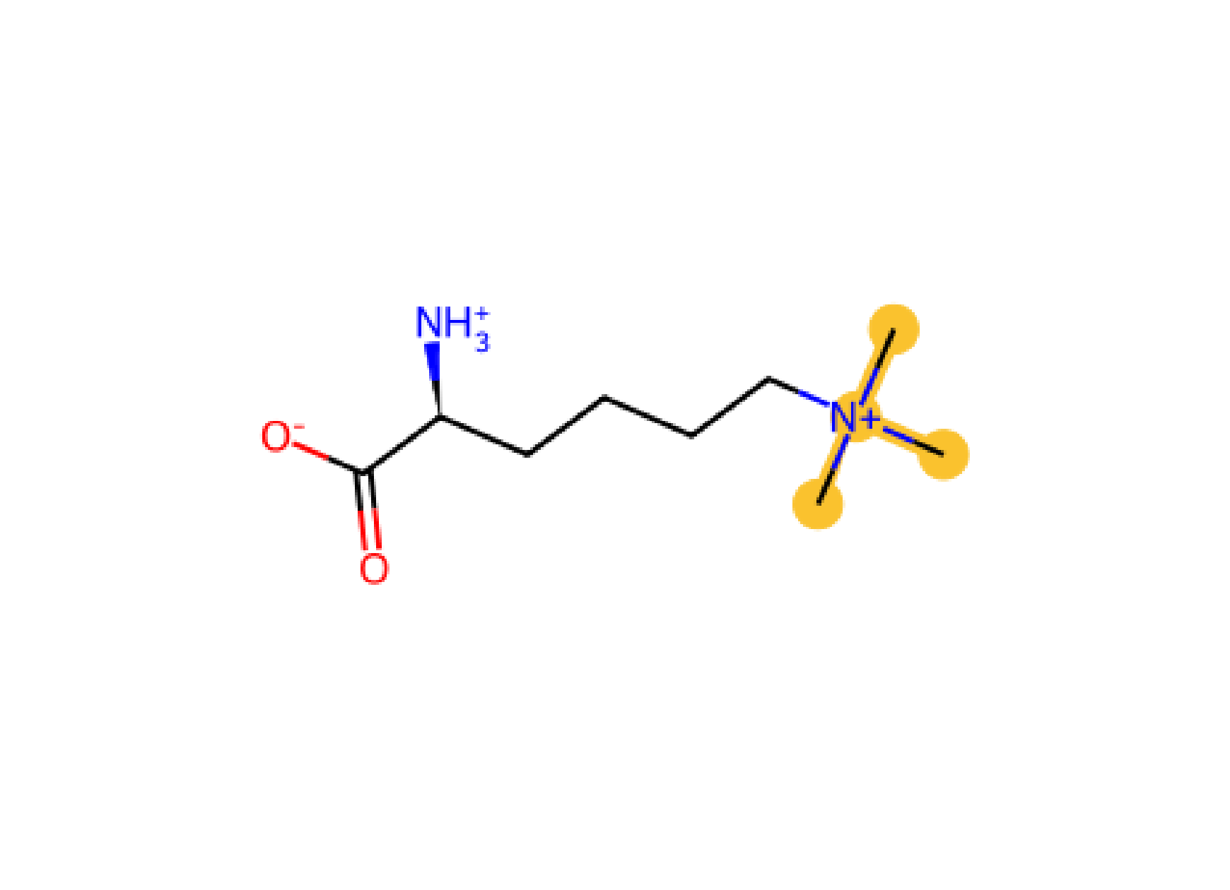 Lys N3M KN3M methylation