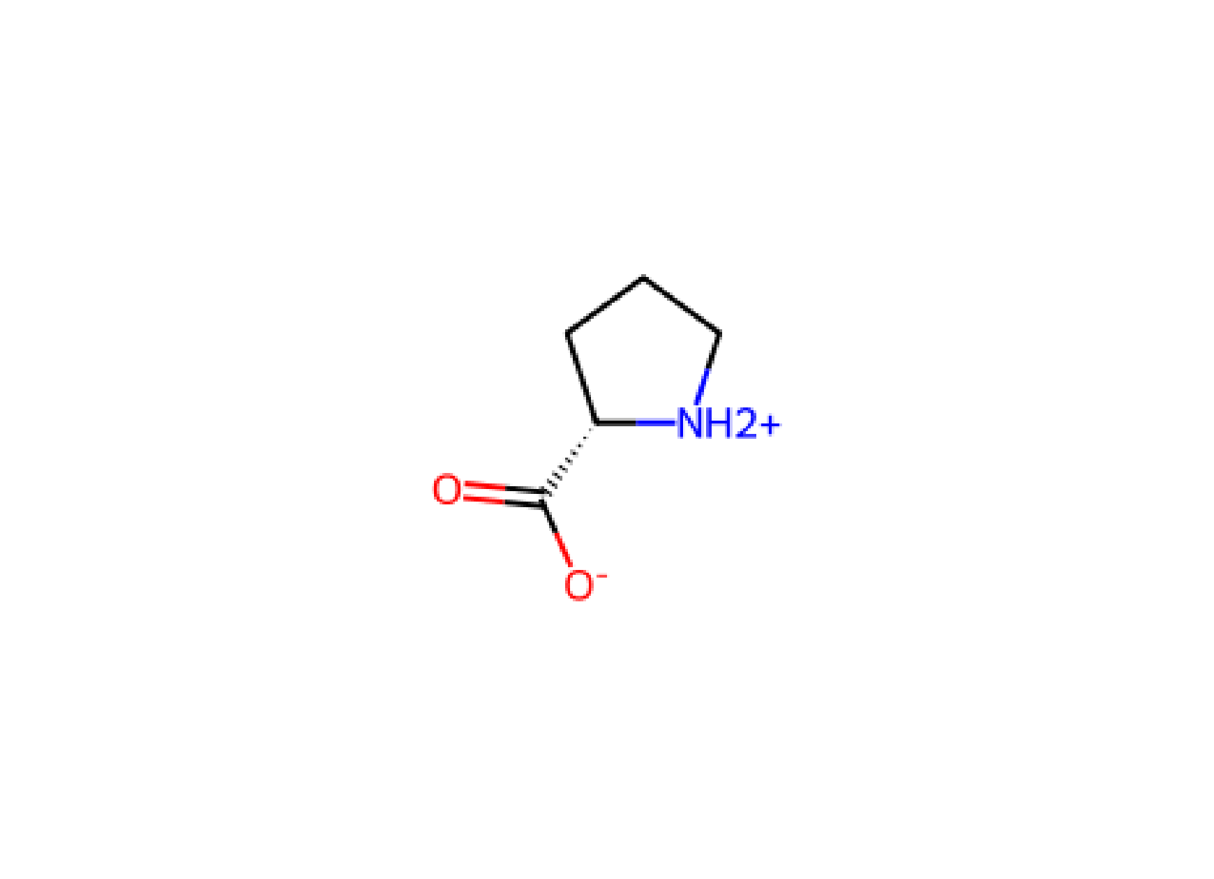 Pro Proline P