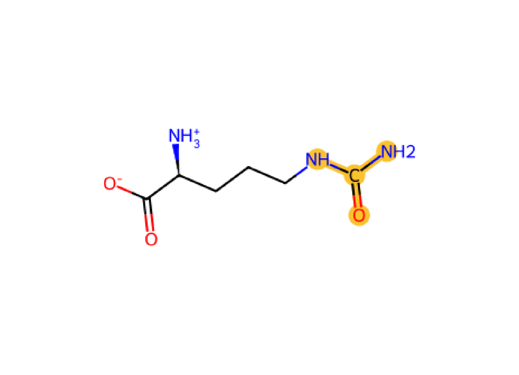 Arg CIR RCIR citrullination