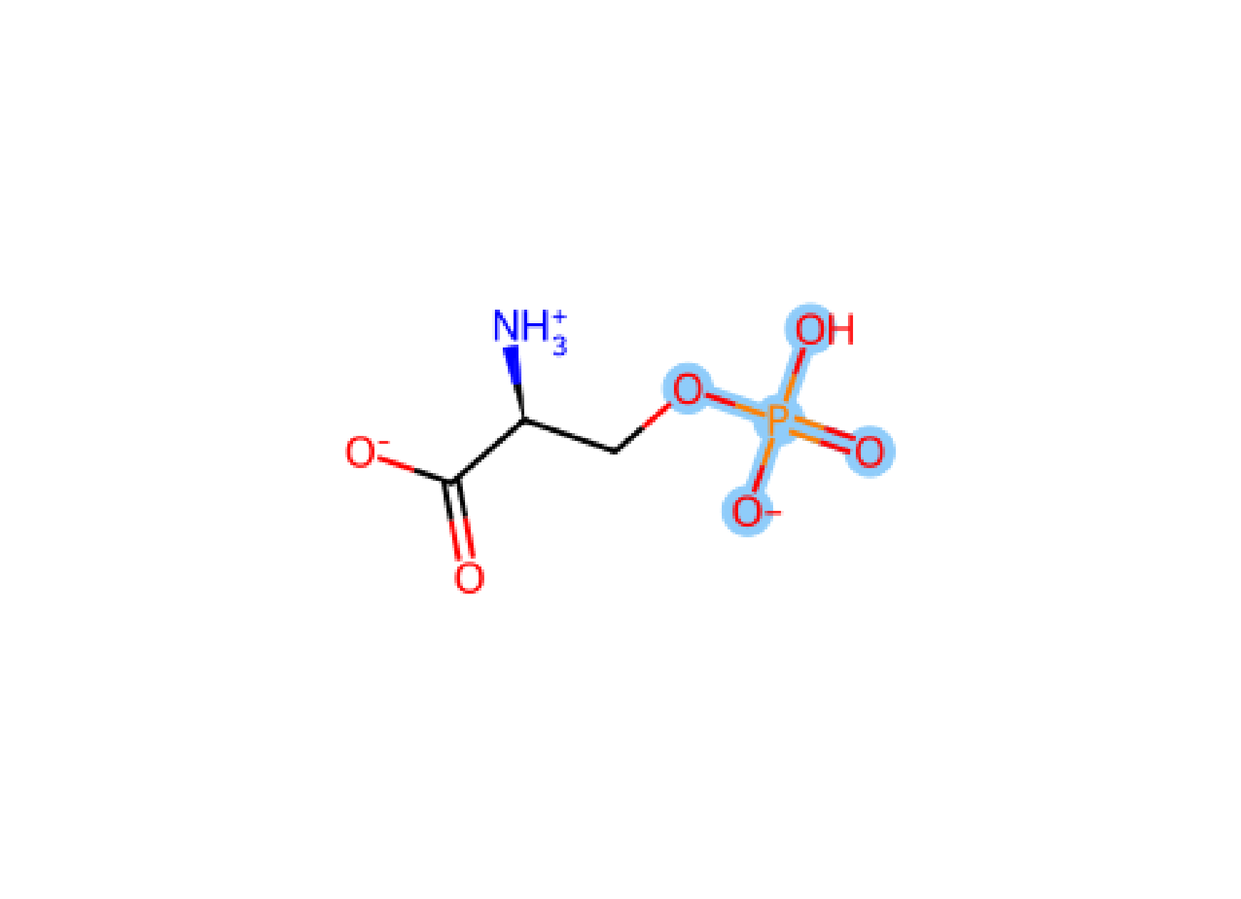 Ser Pho-1 SP1 phosphorylation