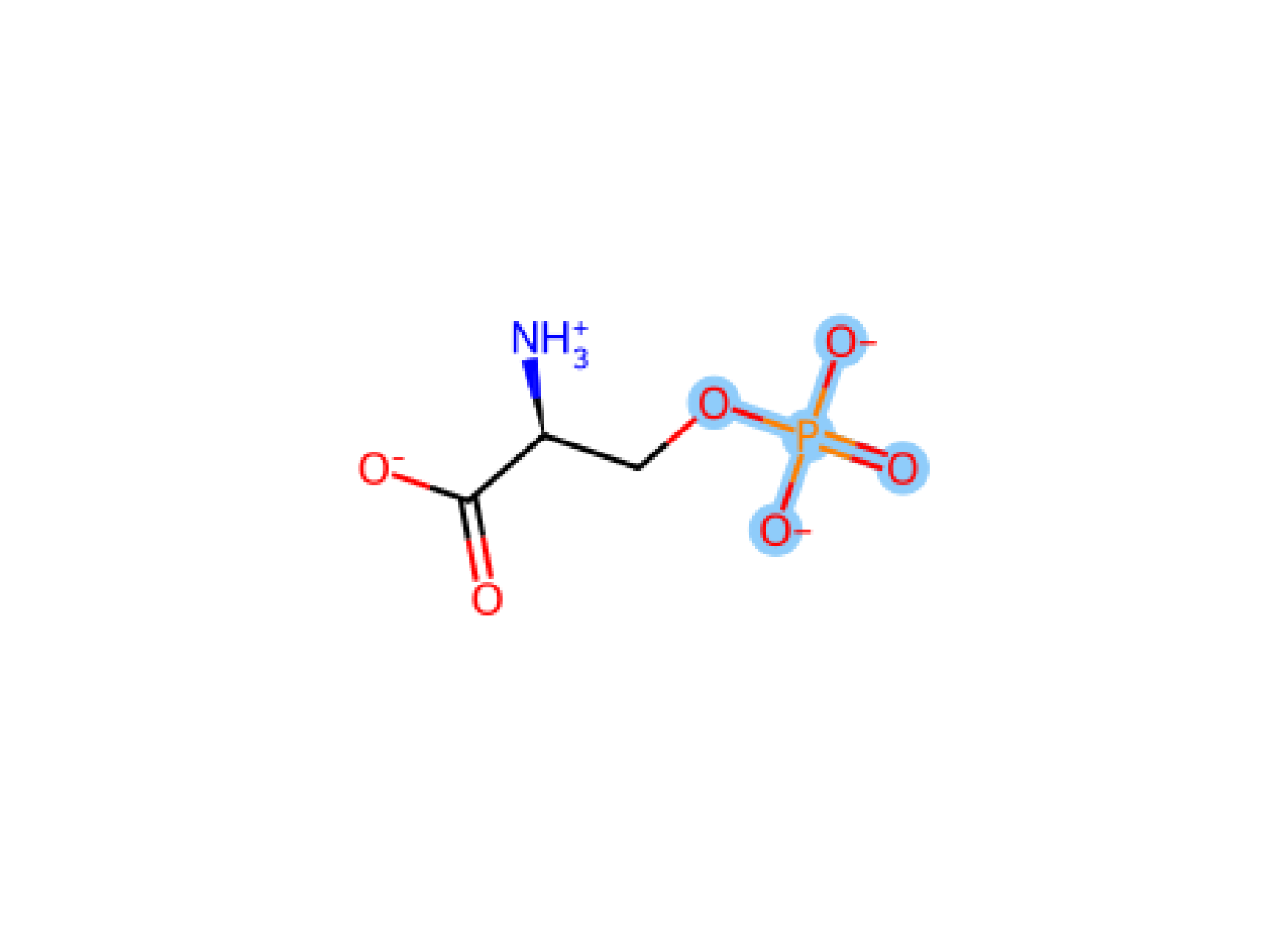 Ser Pho-2 SP2 phosphorylation