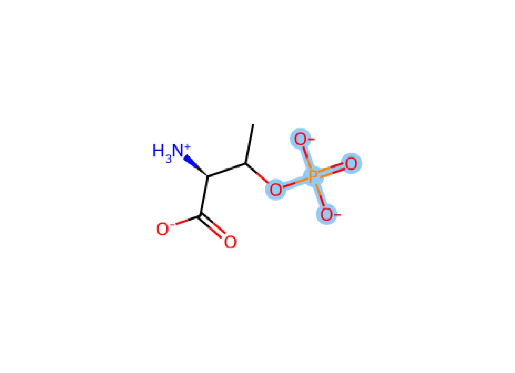 Thr Pho-2 TP2 phosphorylation