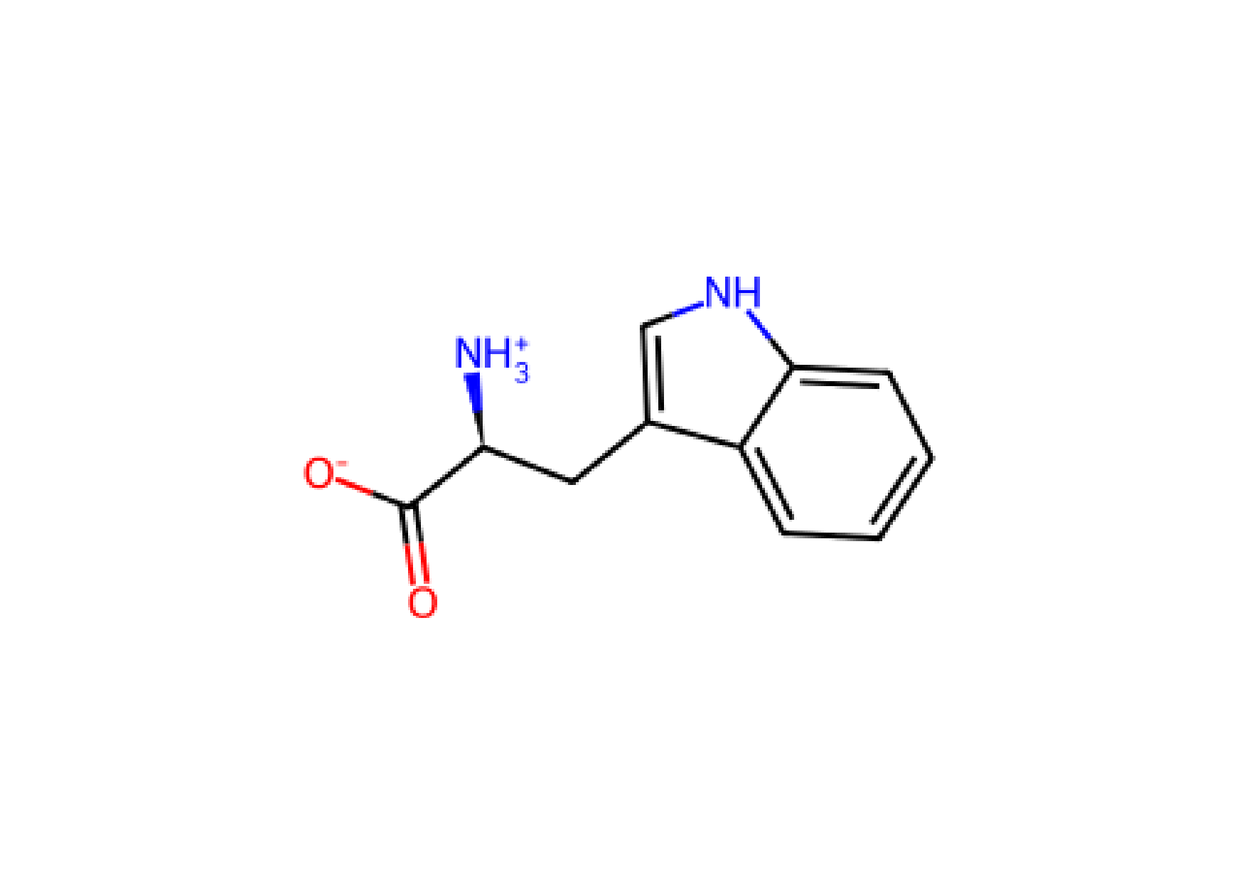 Trp Tryptophan W