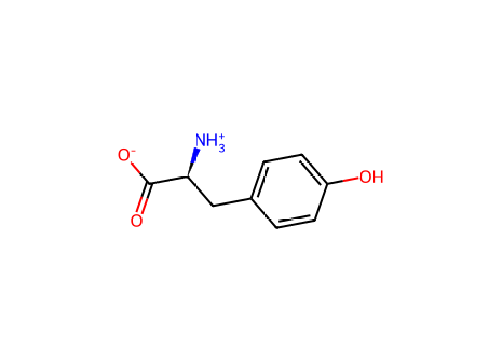 Tyr Tyrosine Y