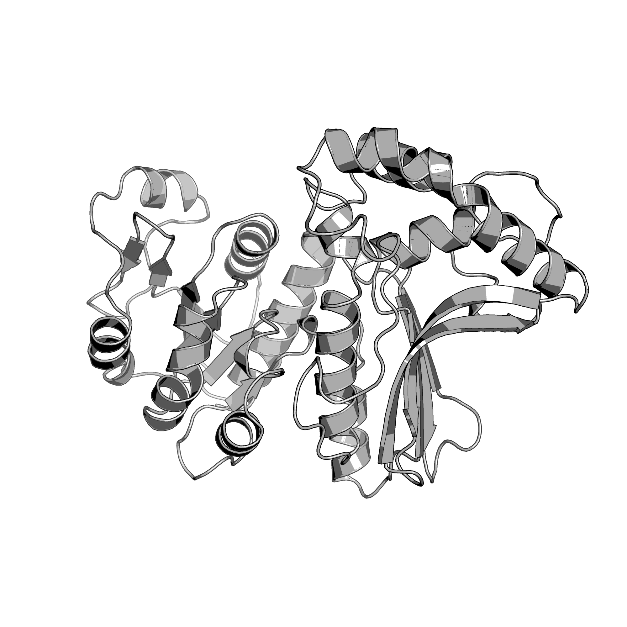1EBF structure
