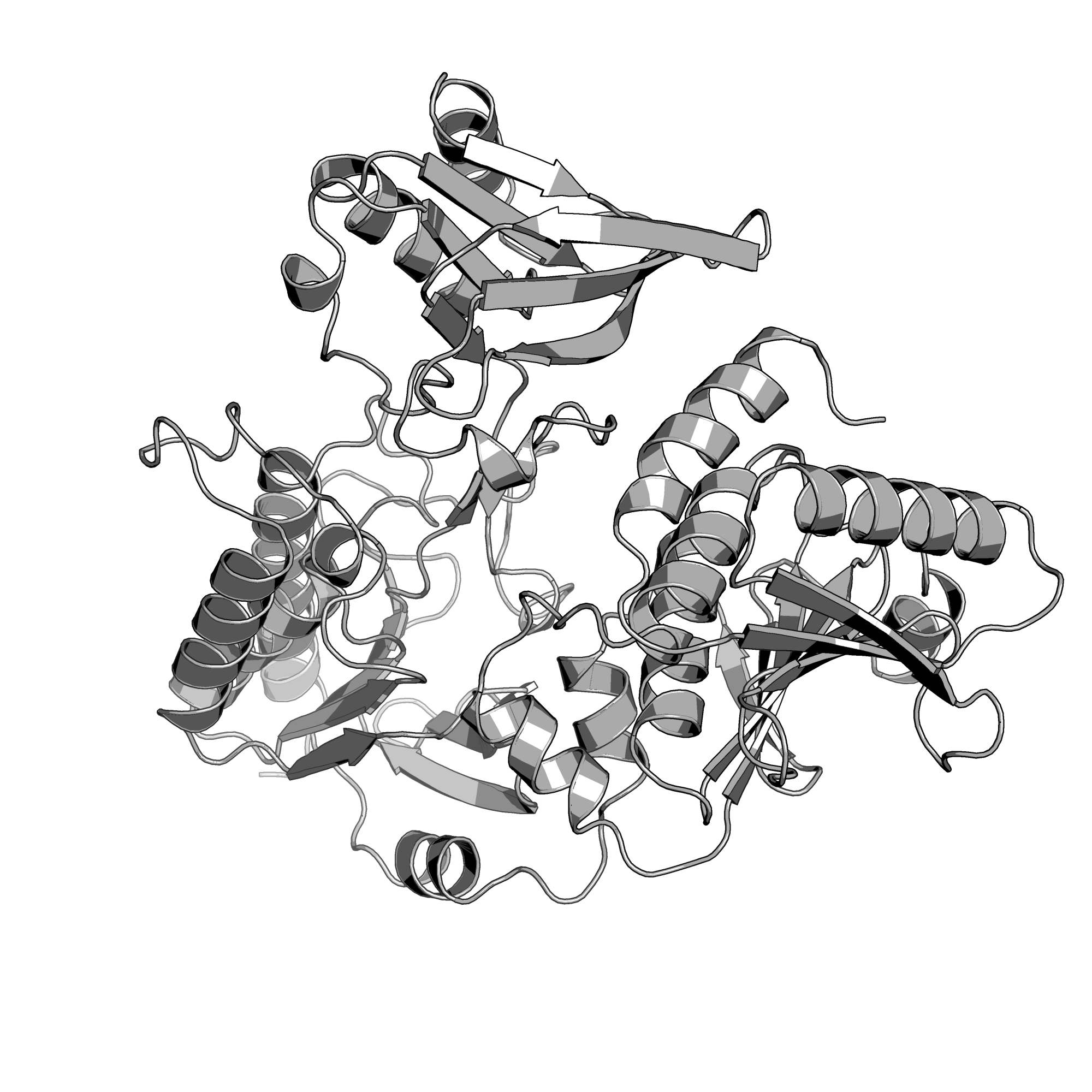 1HYU structure
