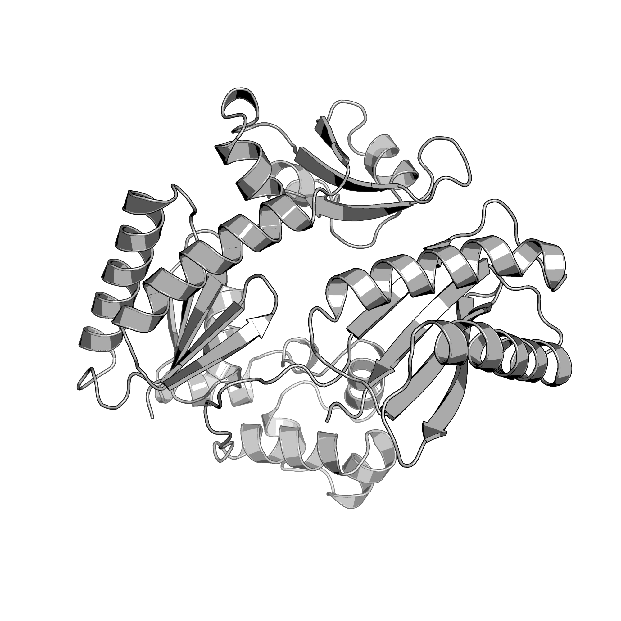 1JX4 structure