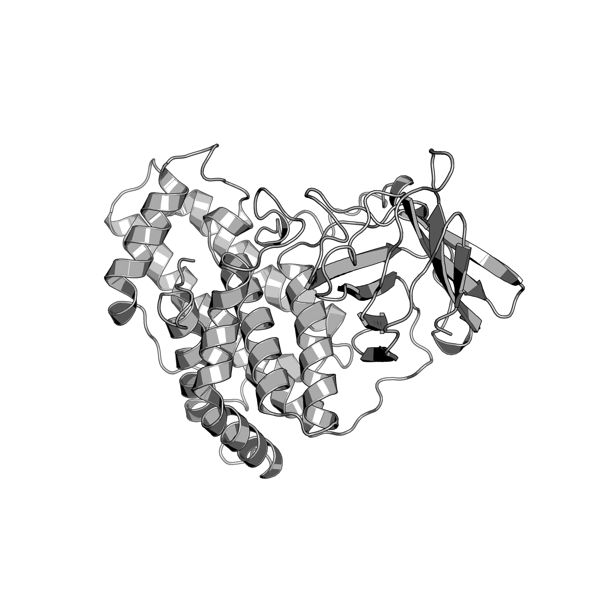 1KHO structure
