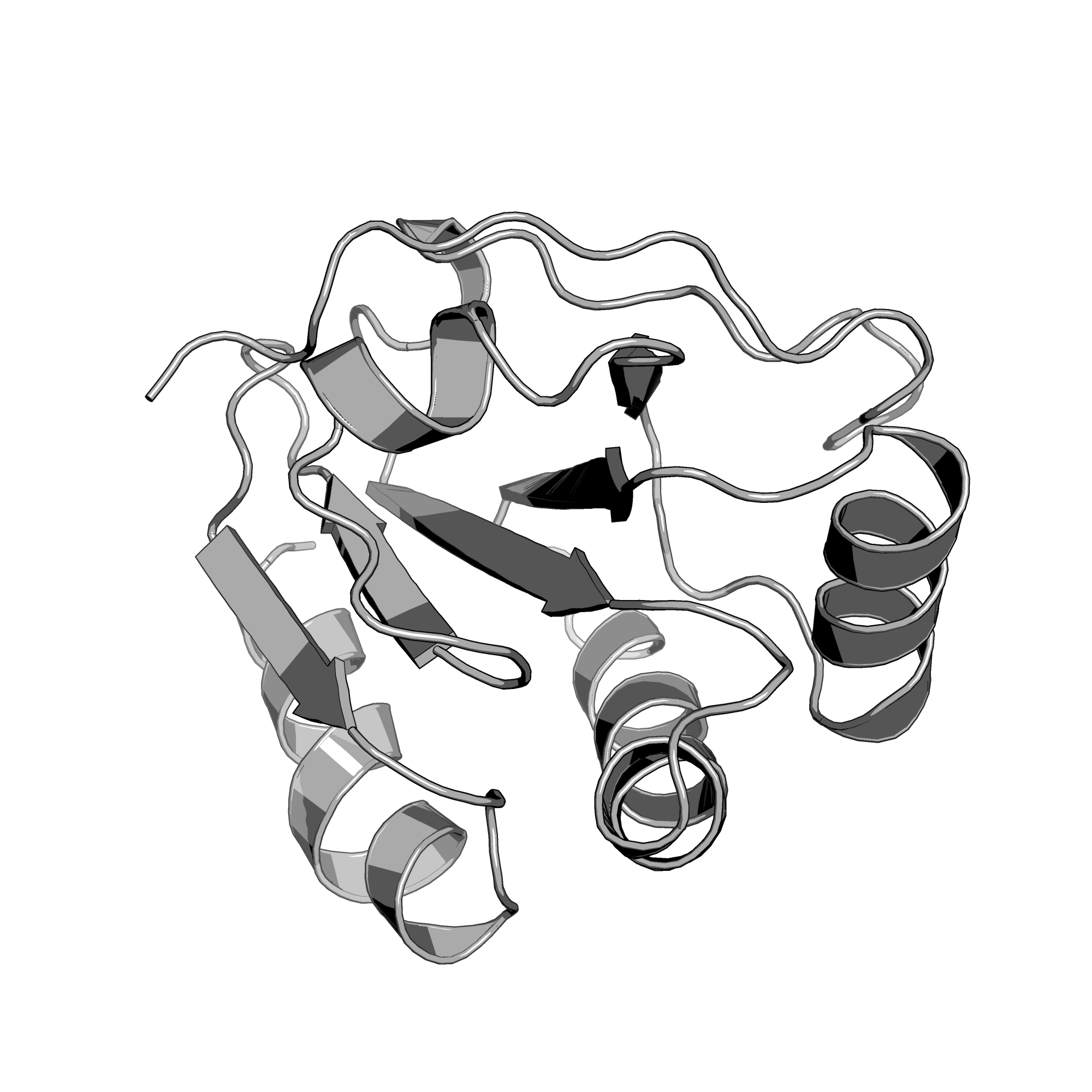 1KNG structure
