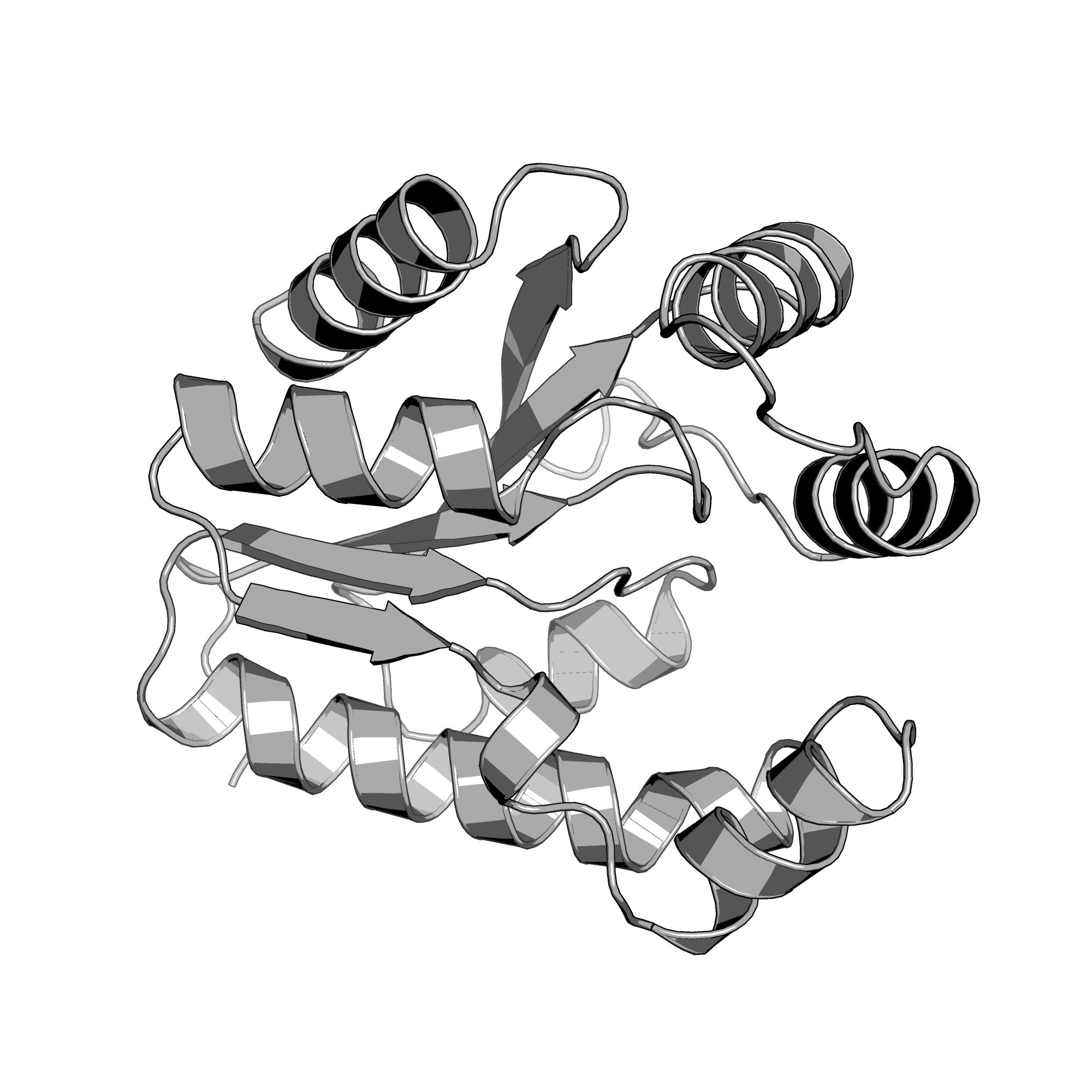 1KNQ structure