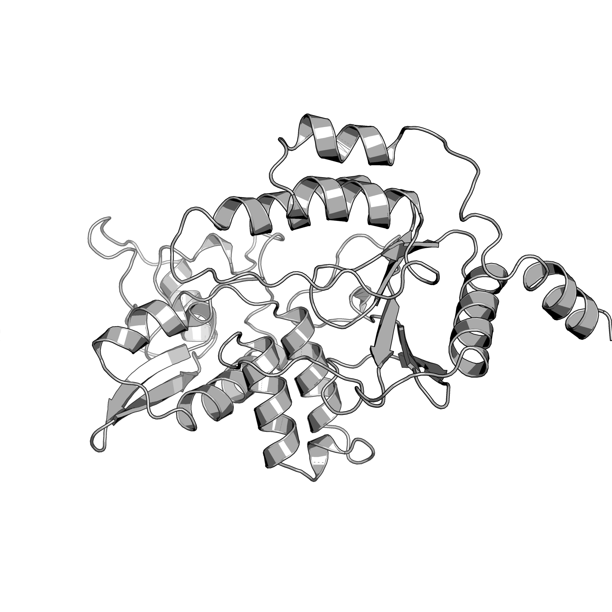 1L9V structure