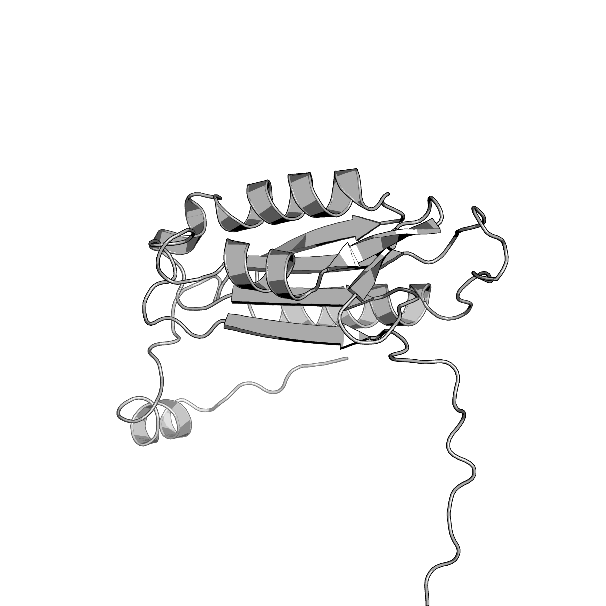 1PYO structure