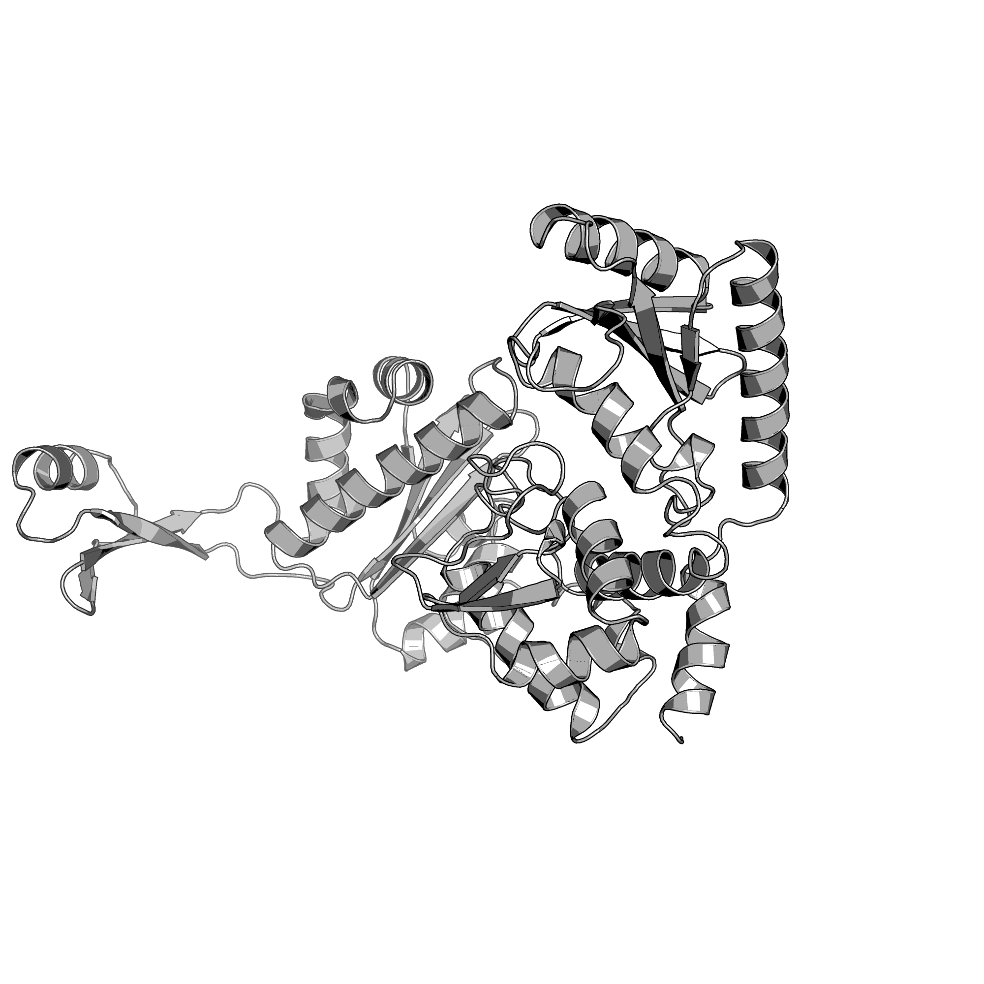1R89 structure
