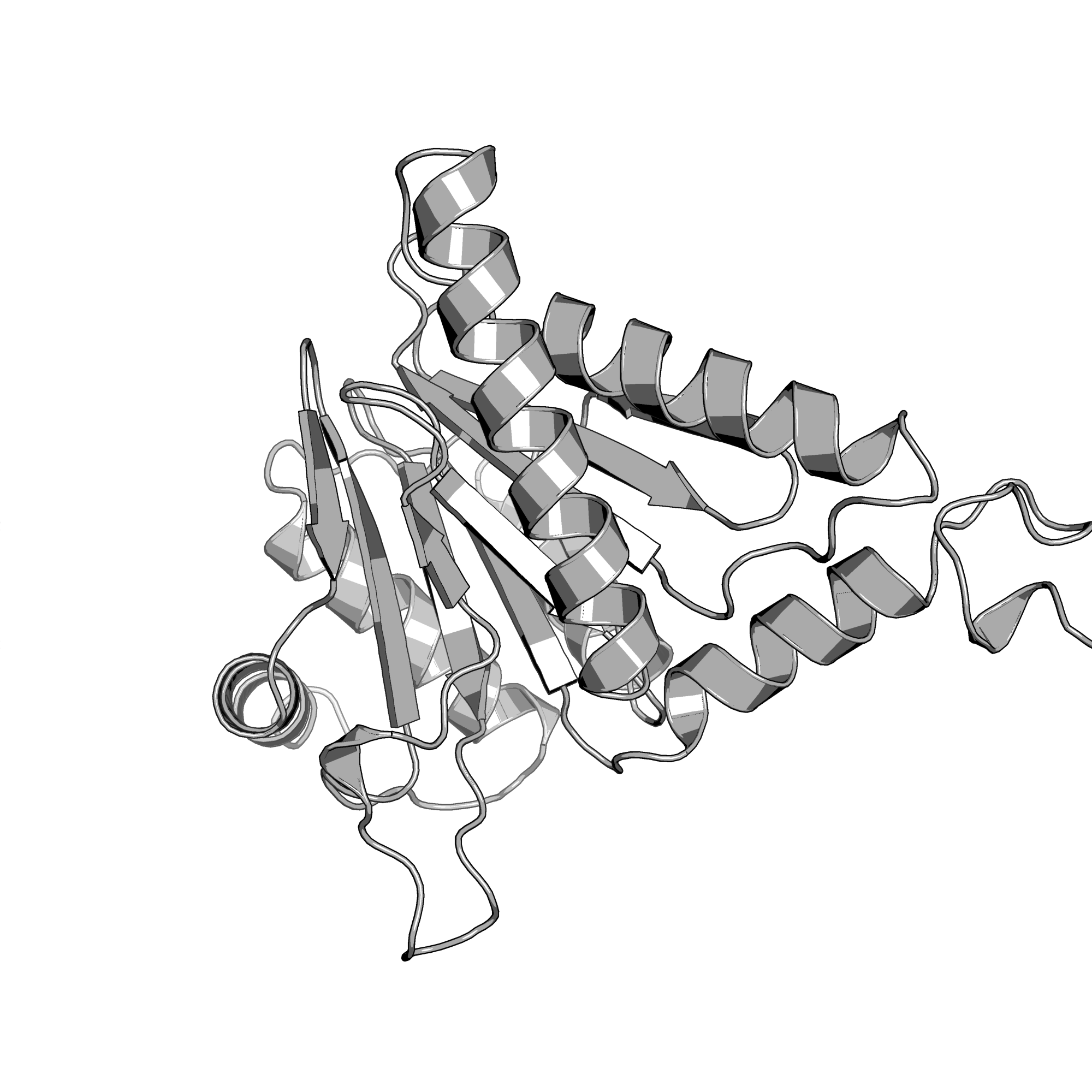 1RYP structure