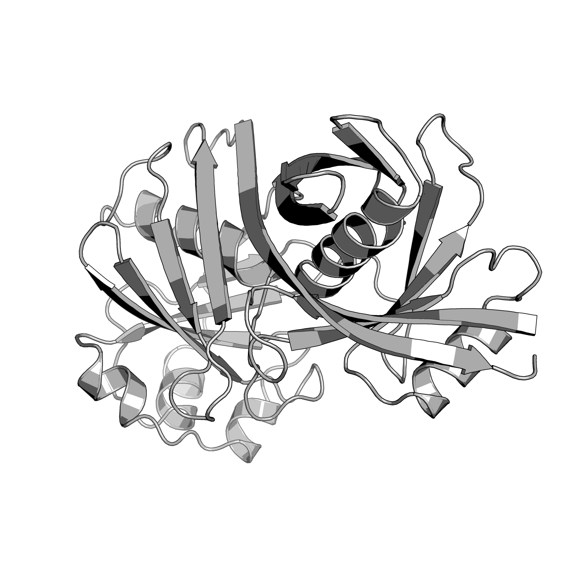 1T6K structure