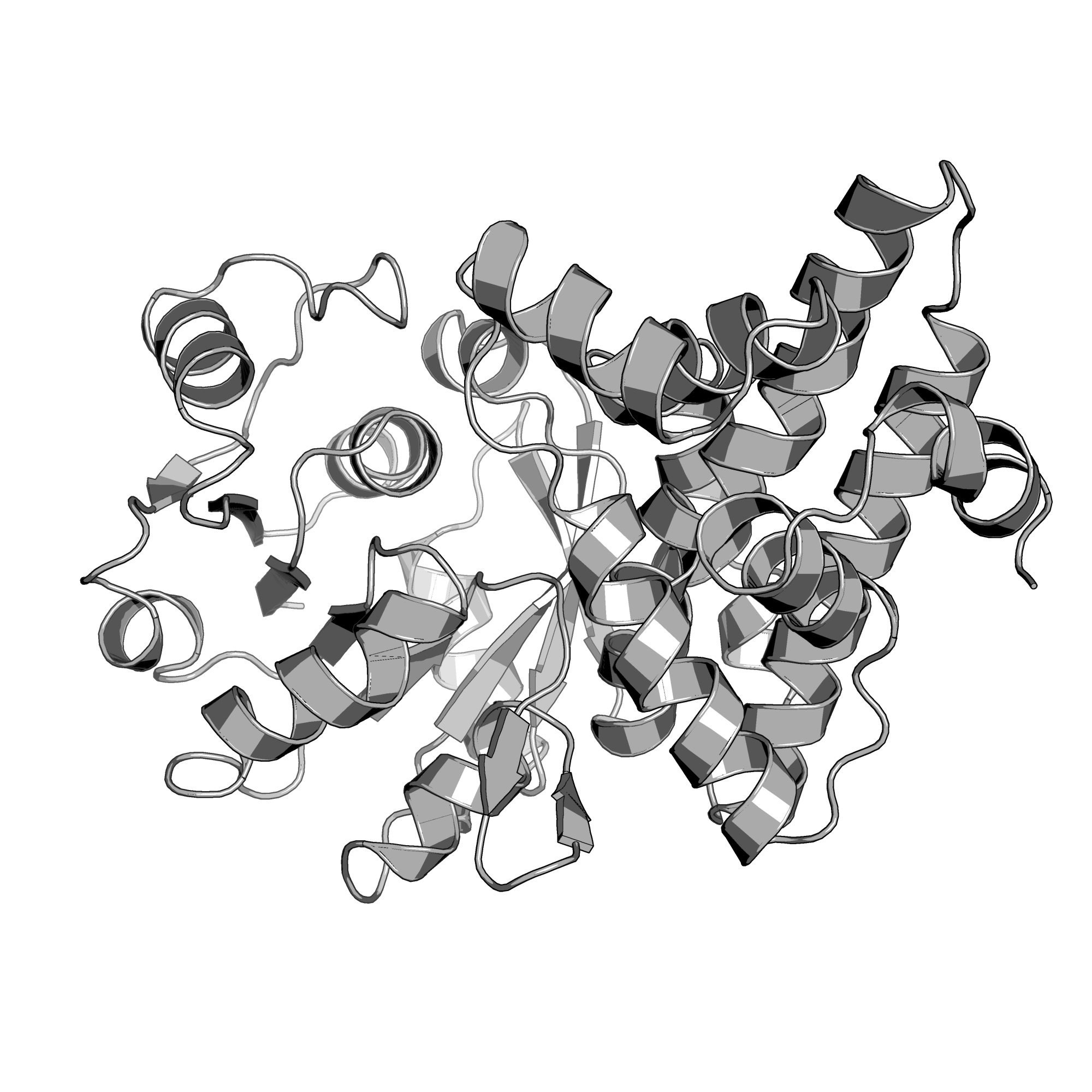 1TXG structure