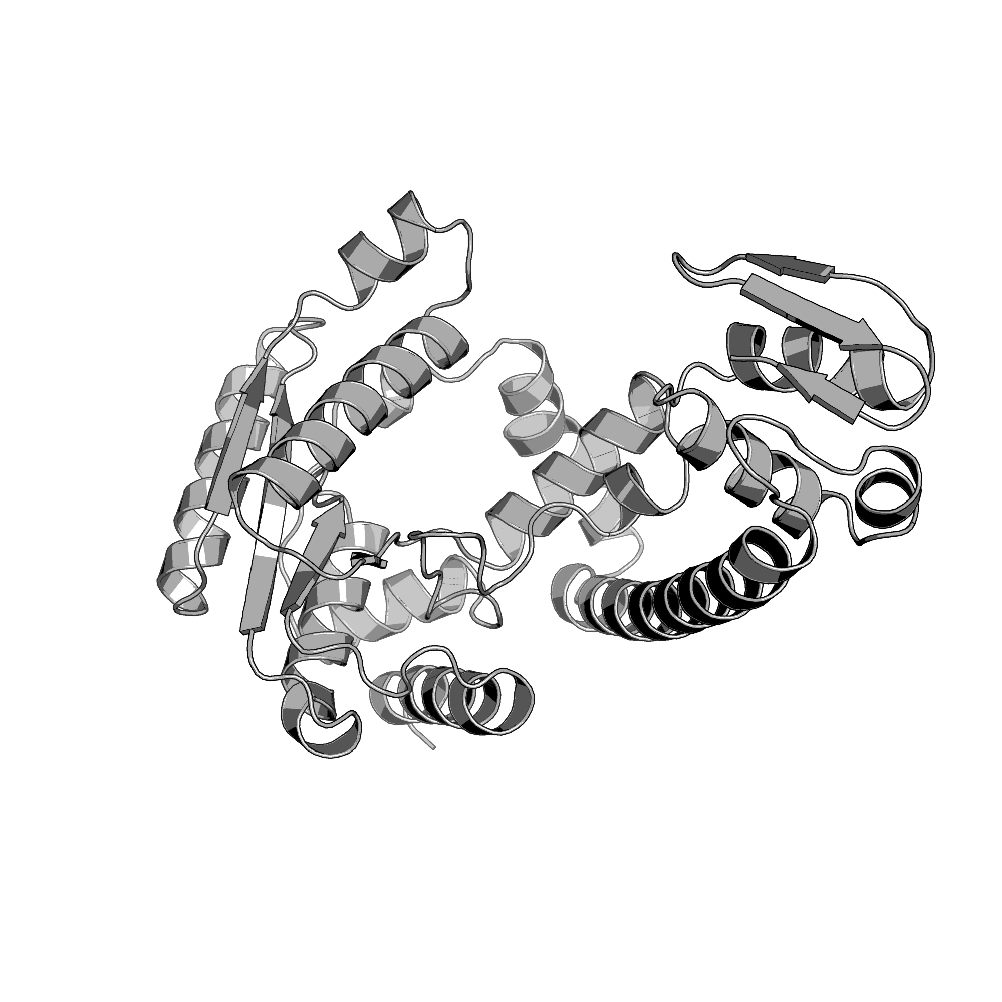 1WY5 structure