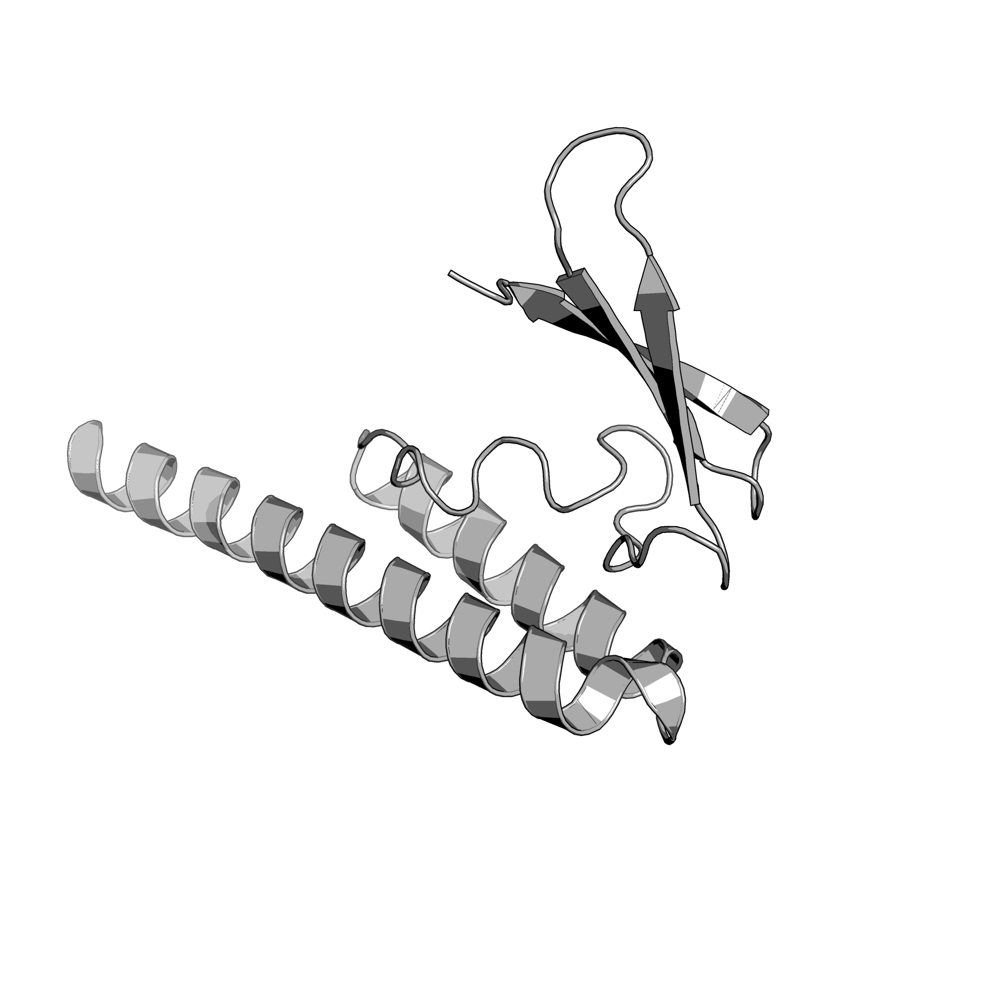 1X0T structure