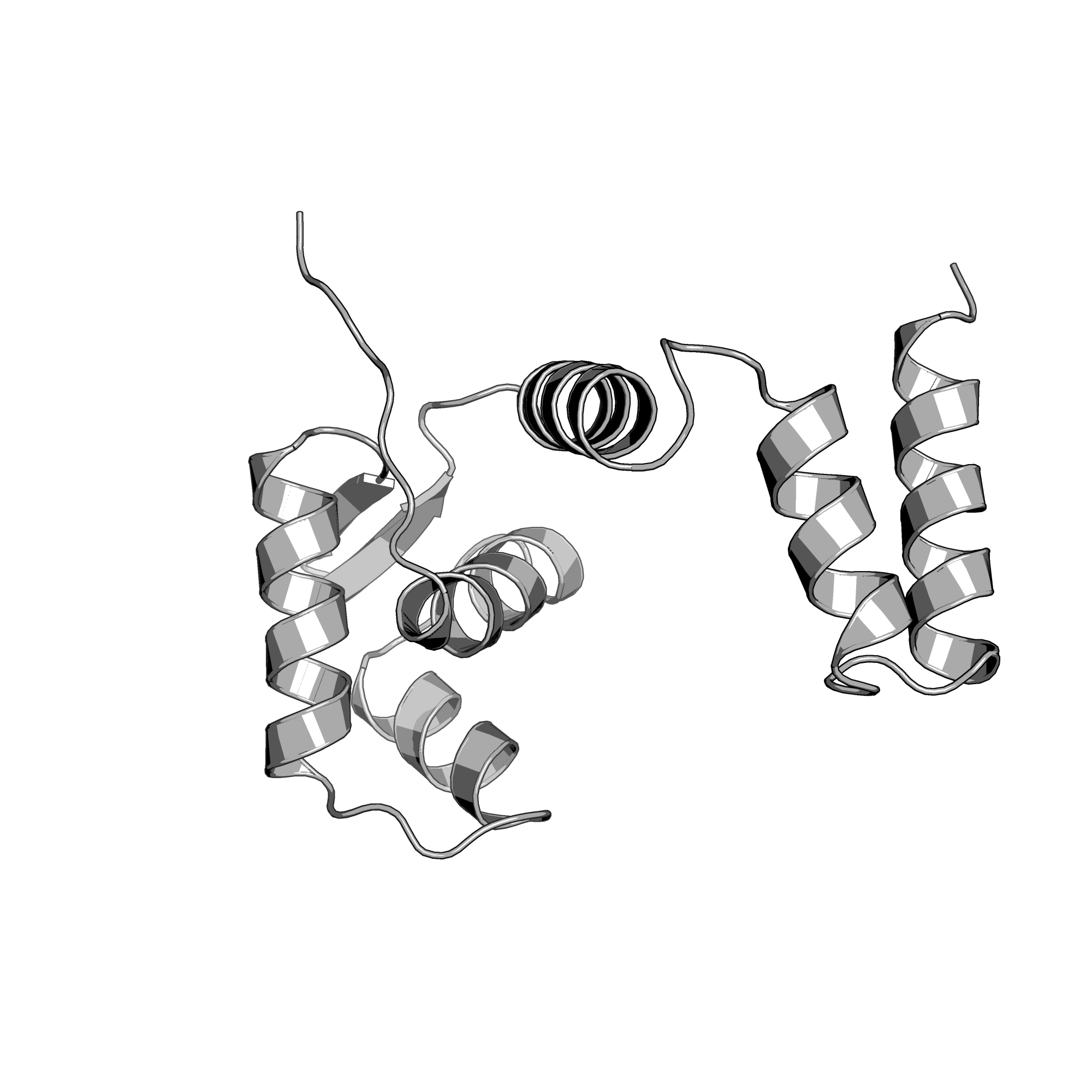 1XSD structure