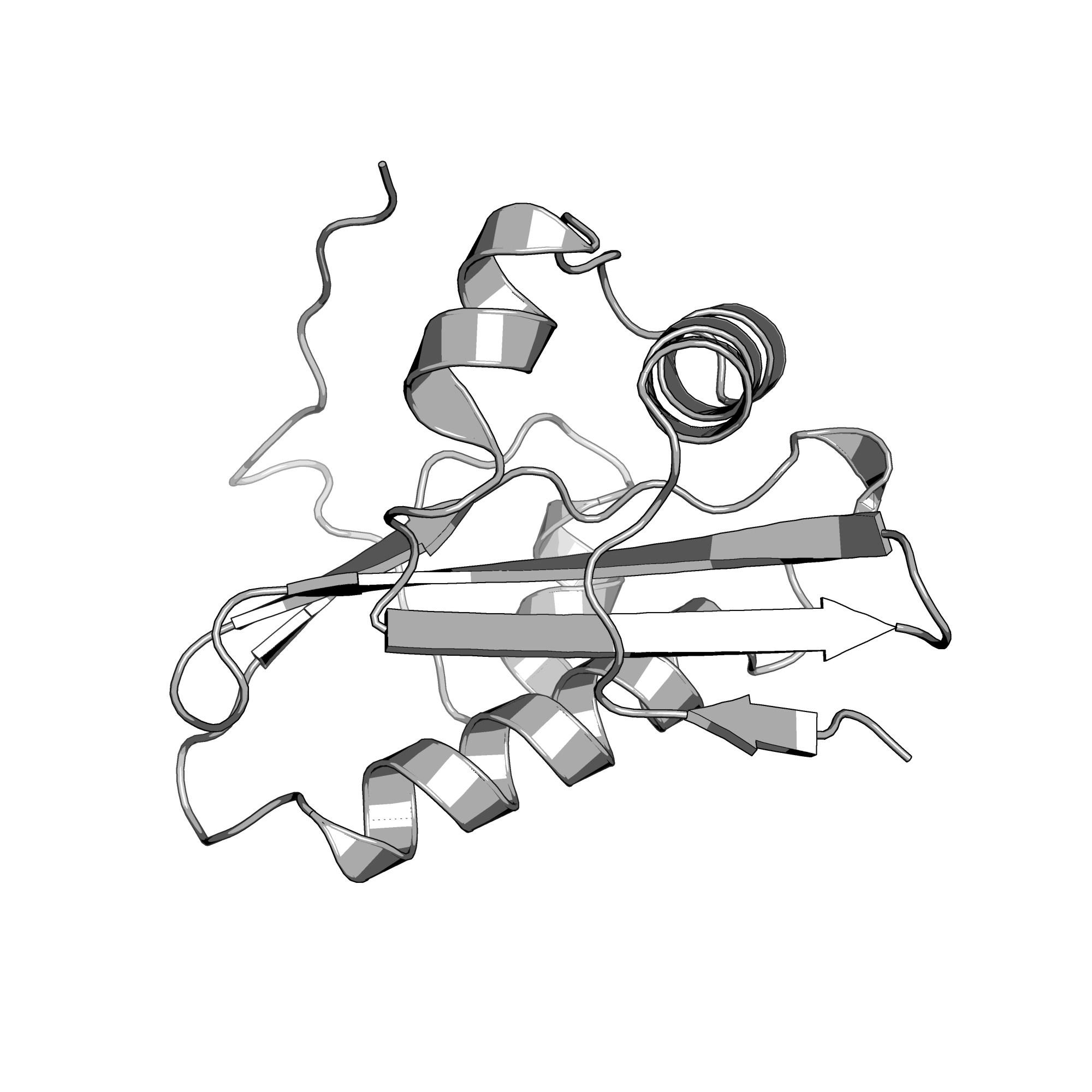 1Y7R structure