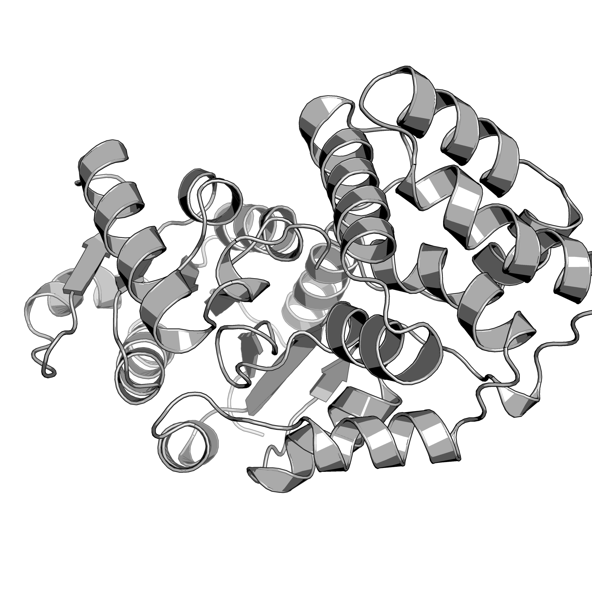 1Y8A structure