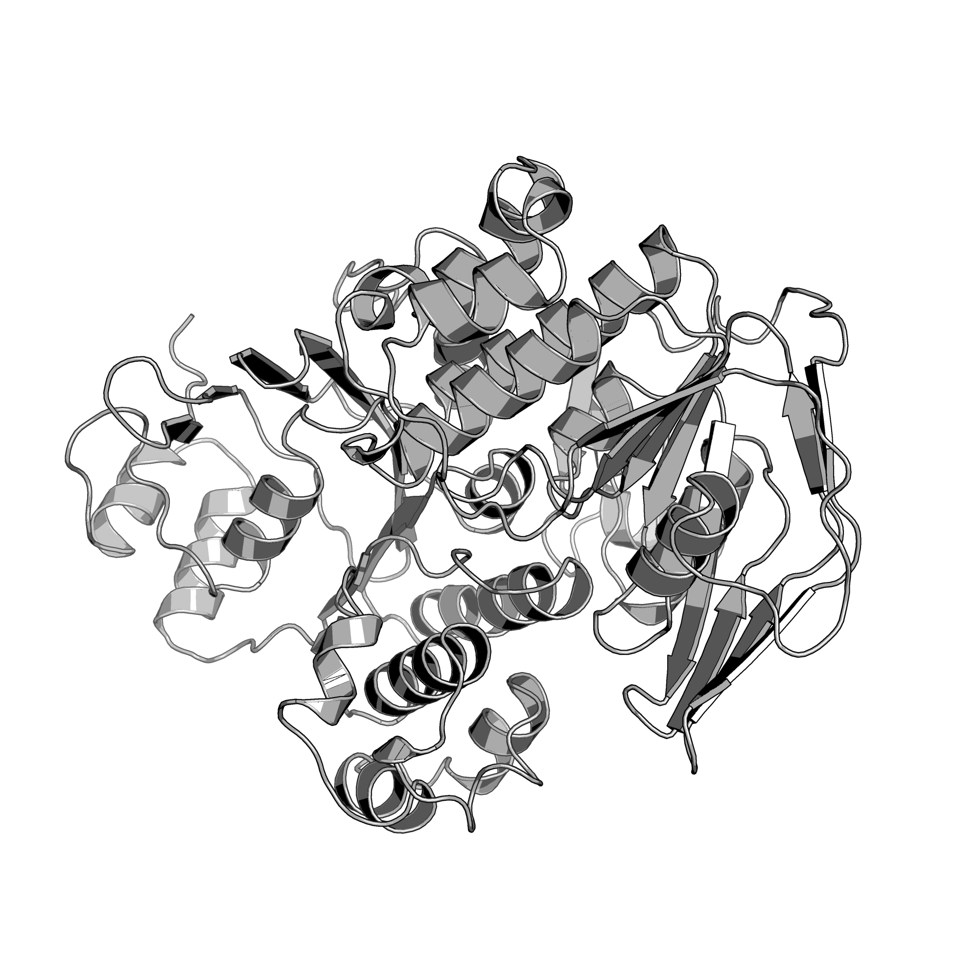 1YQT structure