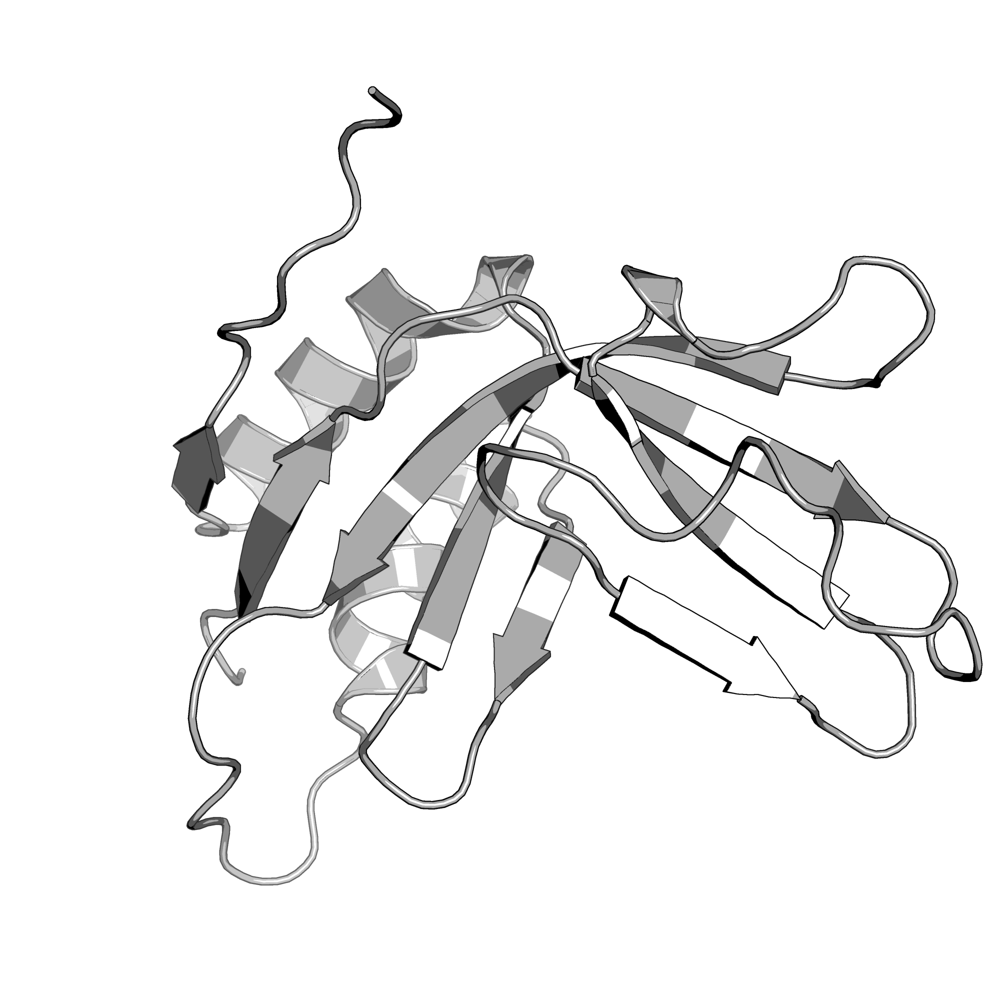 1ZHV structure