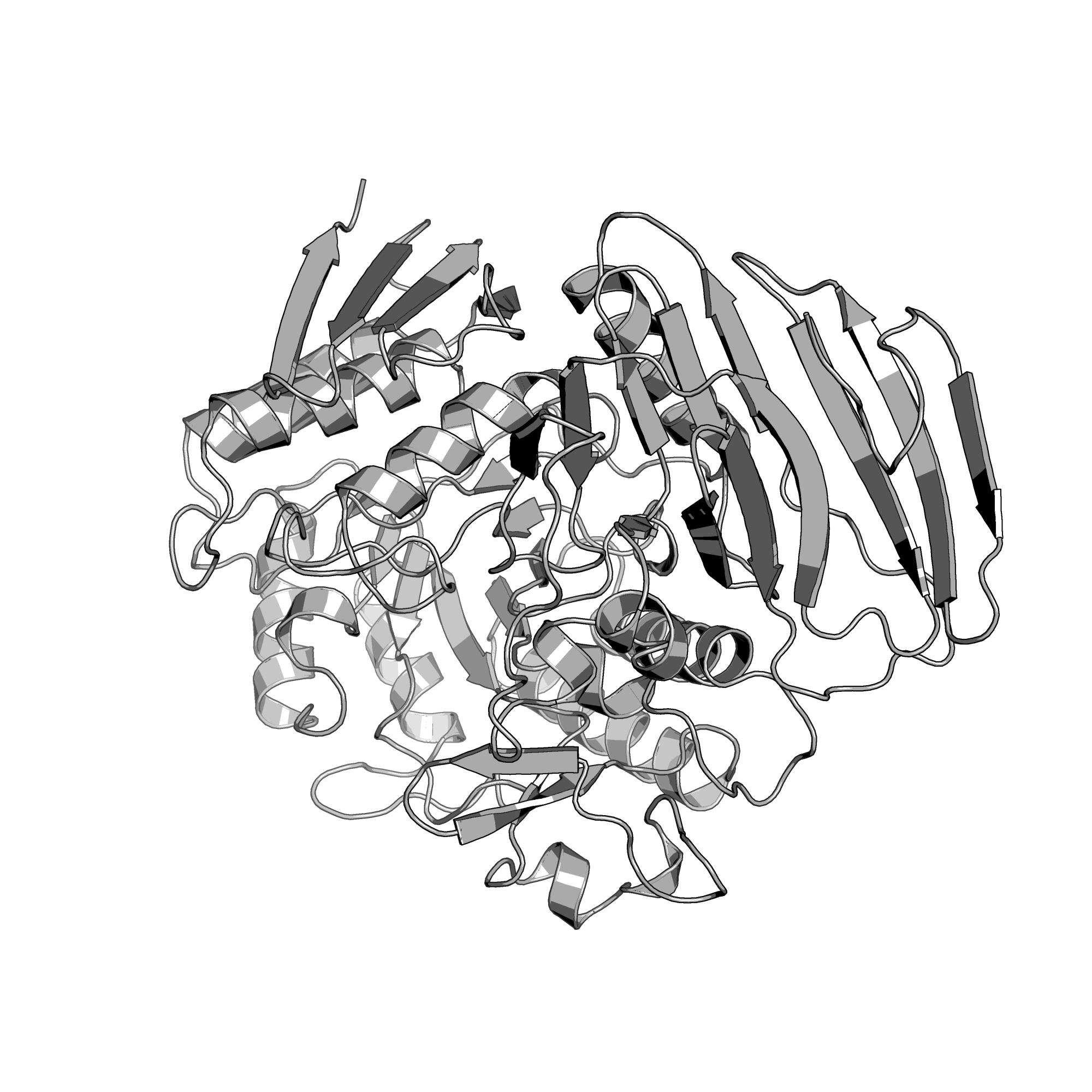1ZY9 structure