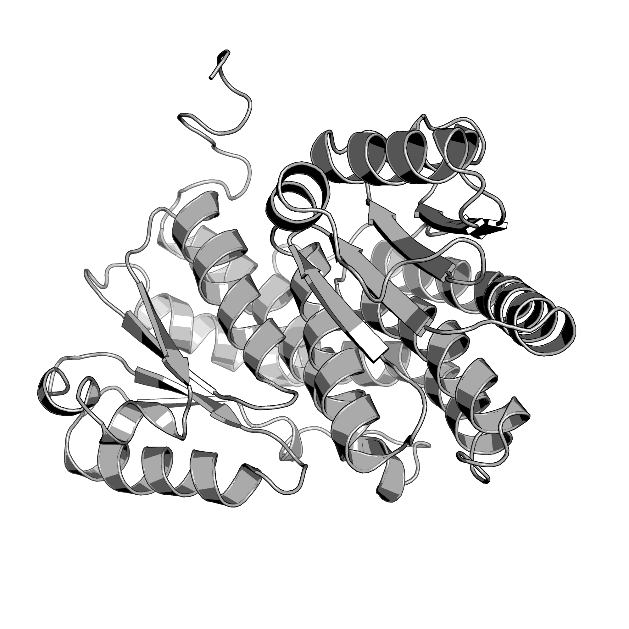 2A3N structure