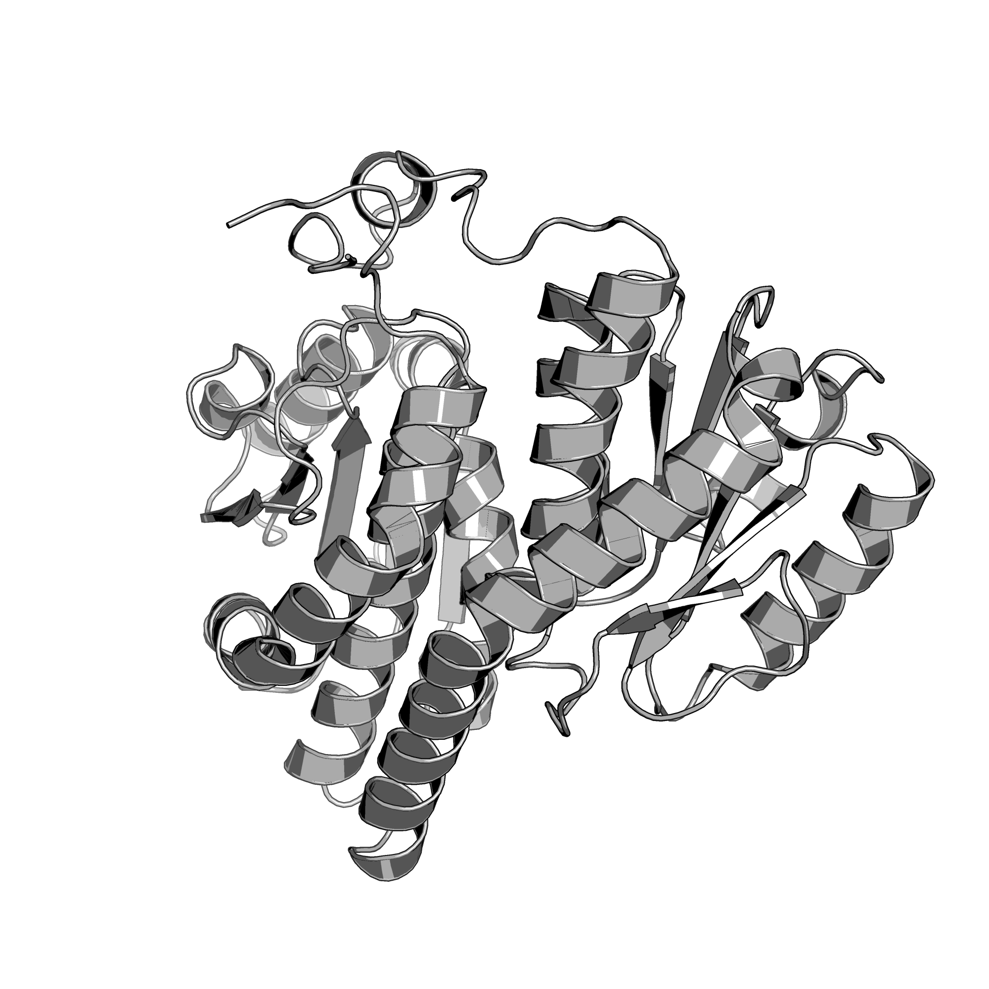 2AML structure