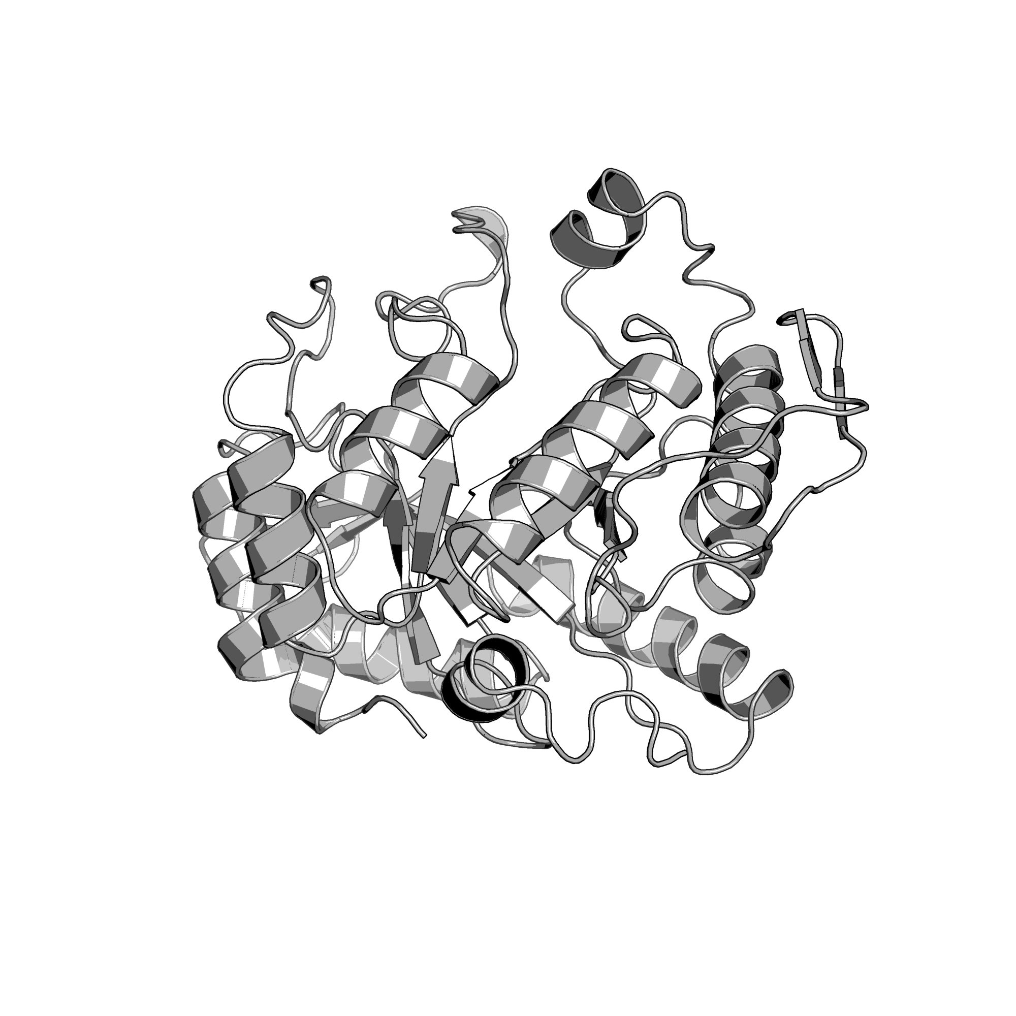 2B81 structure