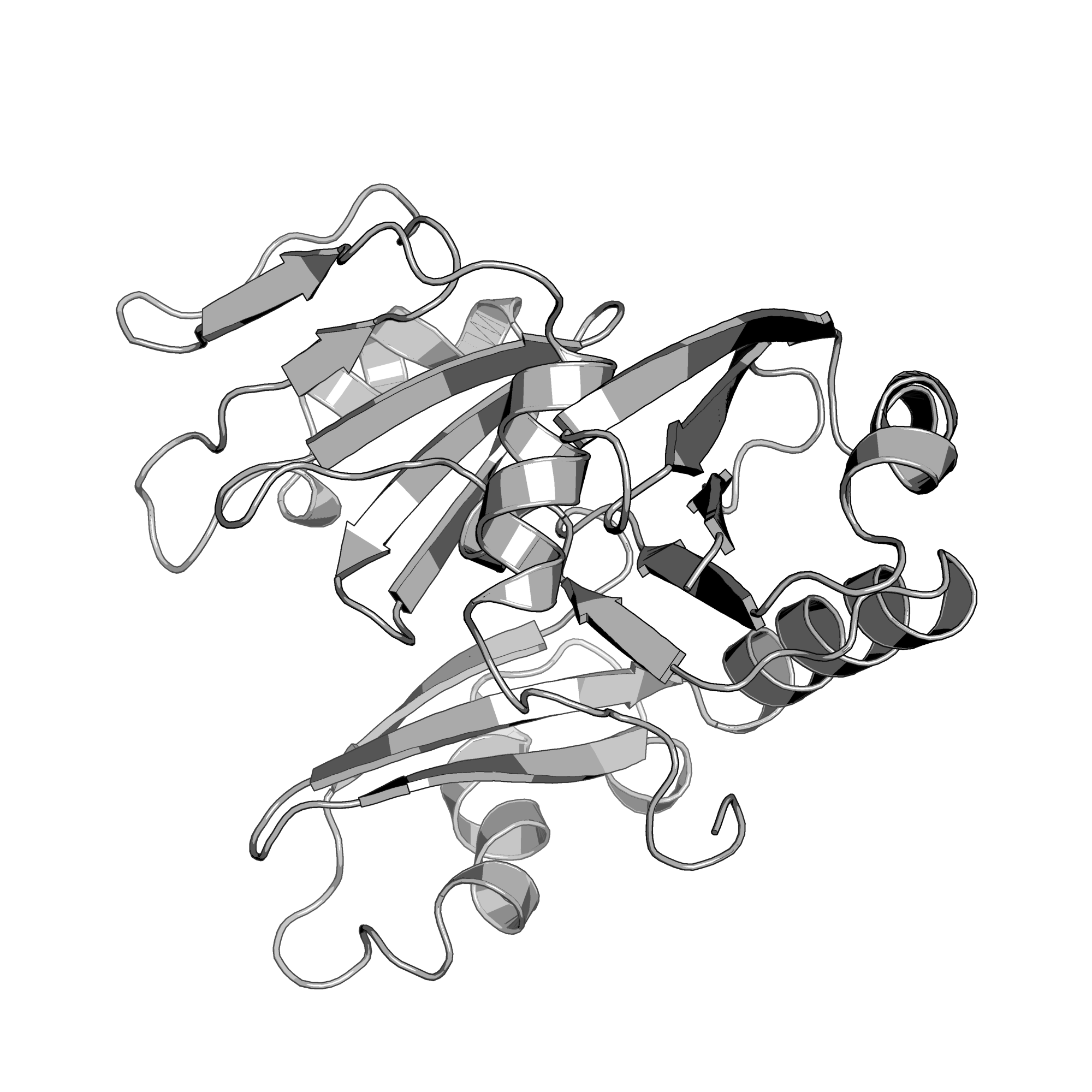 2BH1 structure