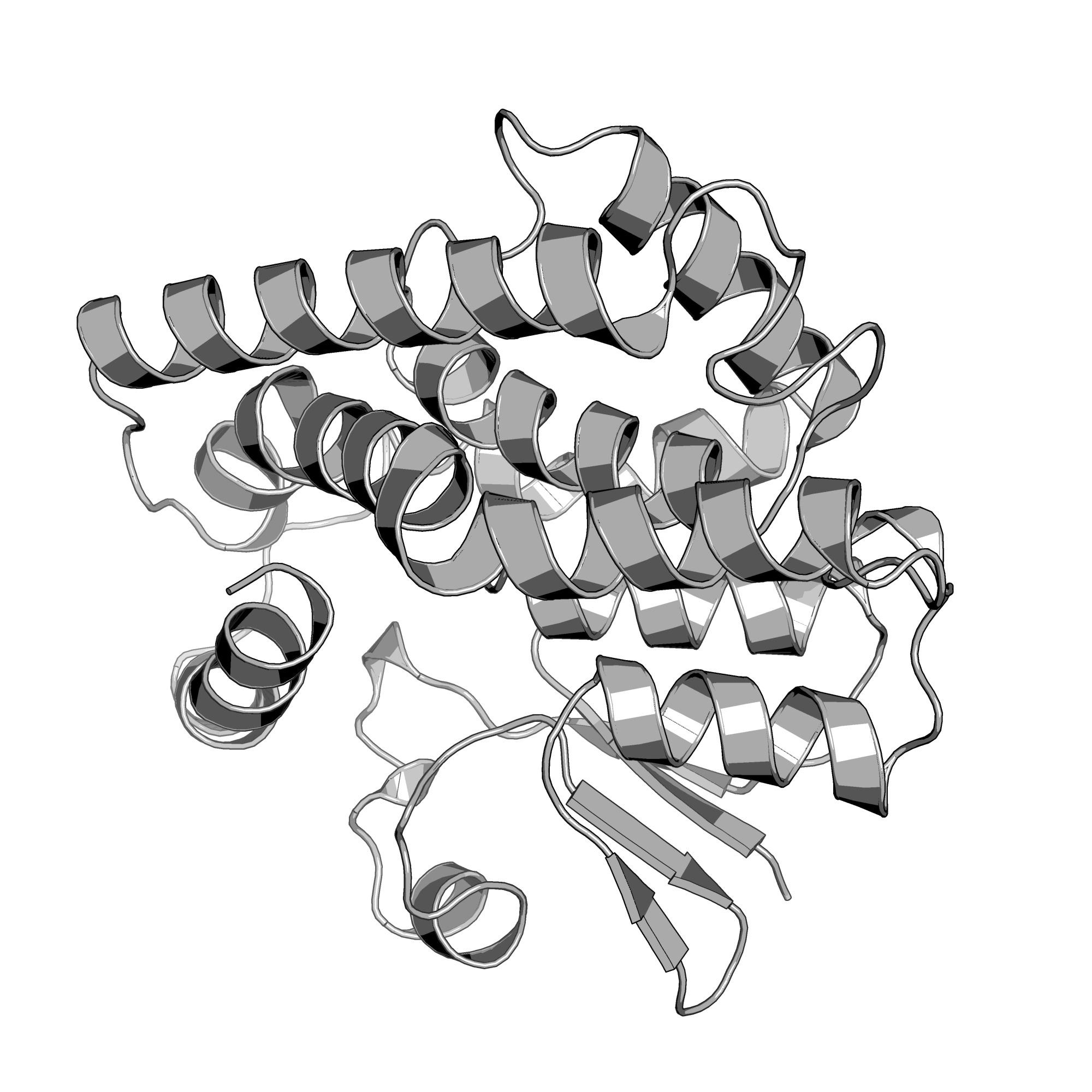 2C3N structure