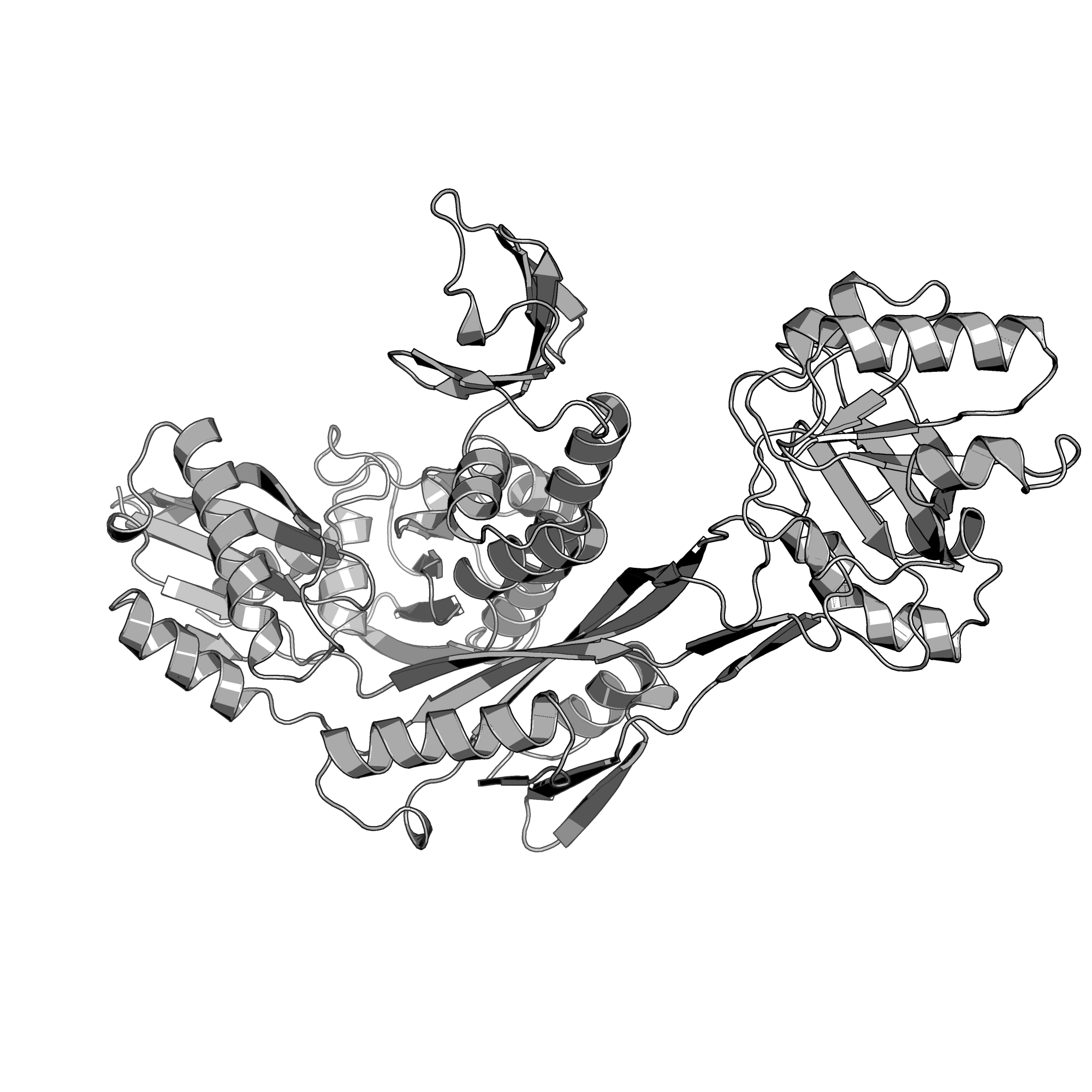 2D0O structure