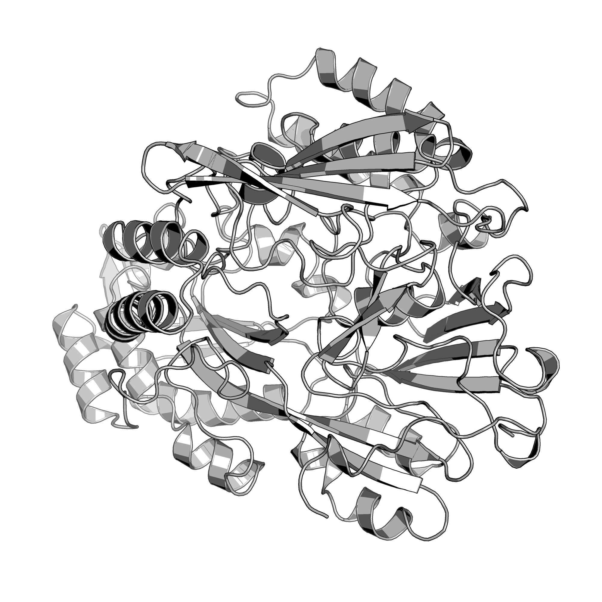 2D5W structure