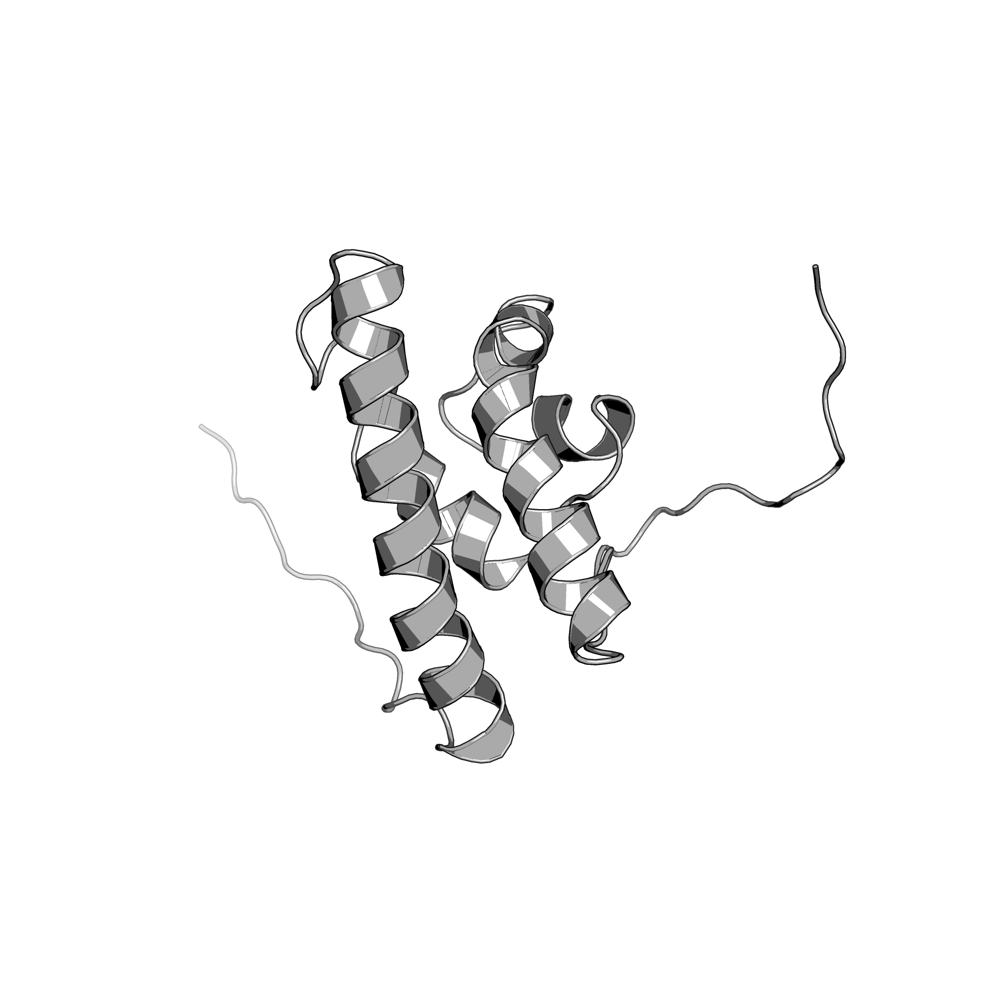 2DGZ structure