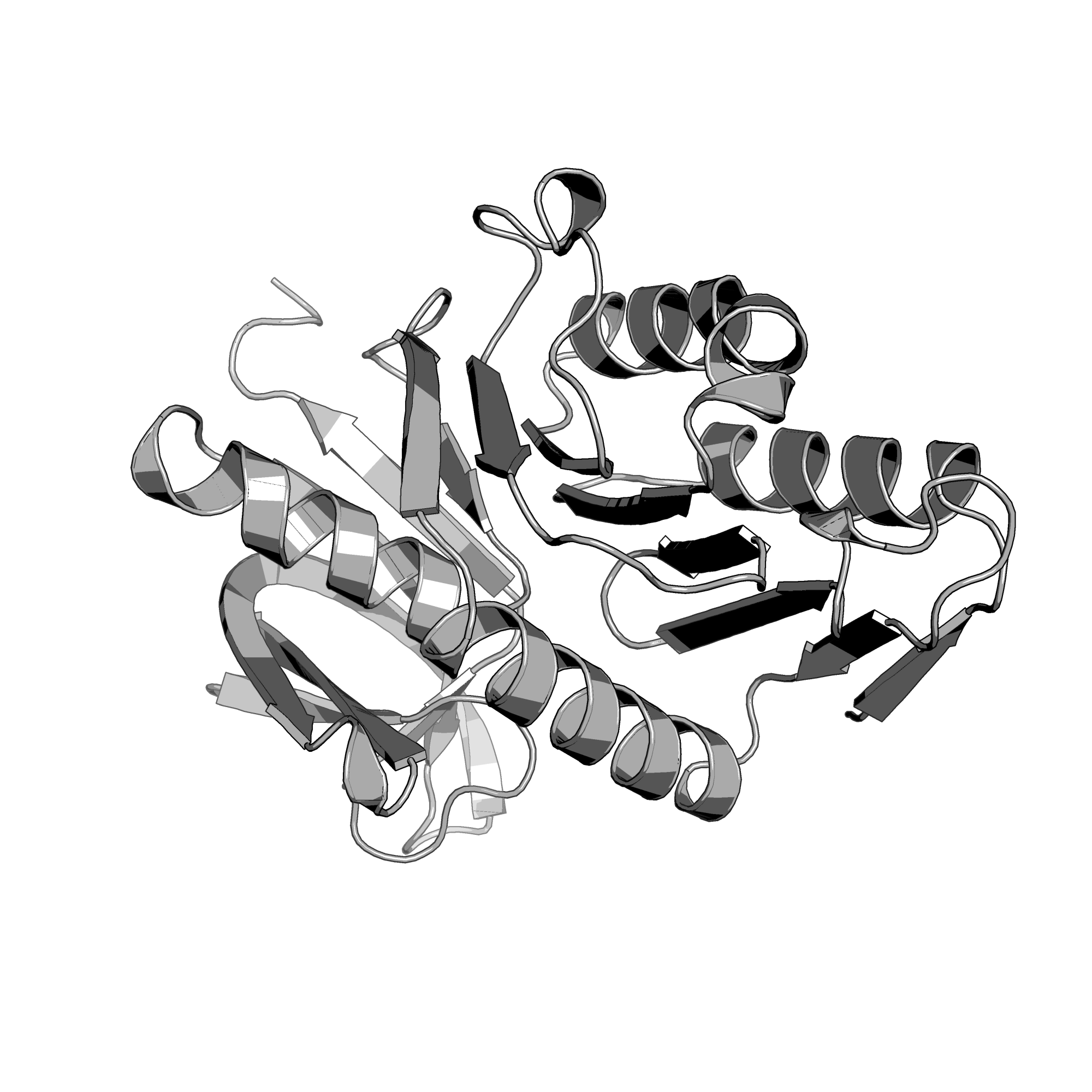 2F5T structure
