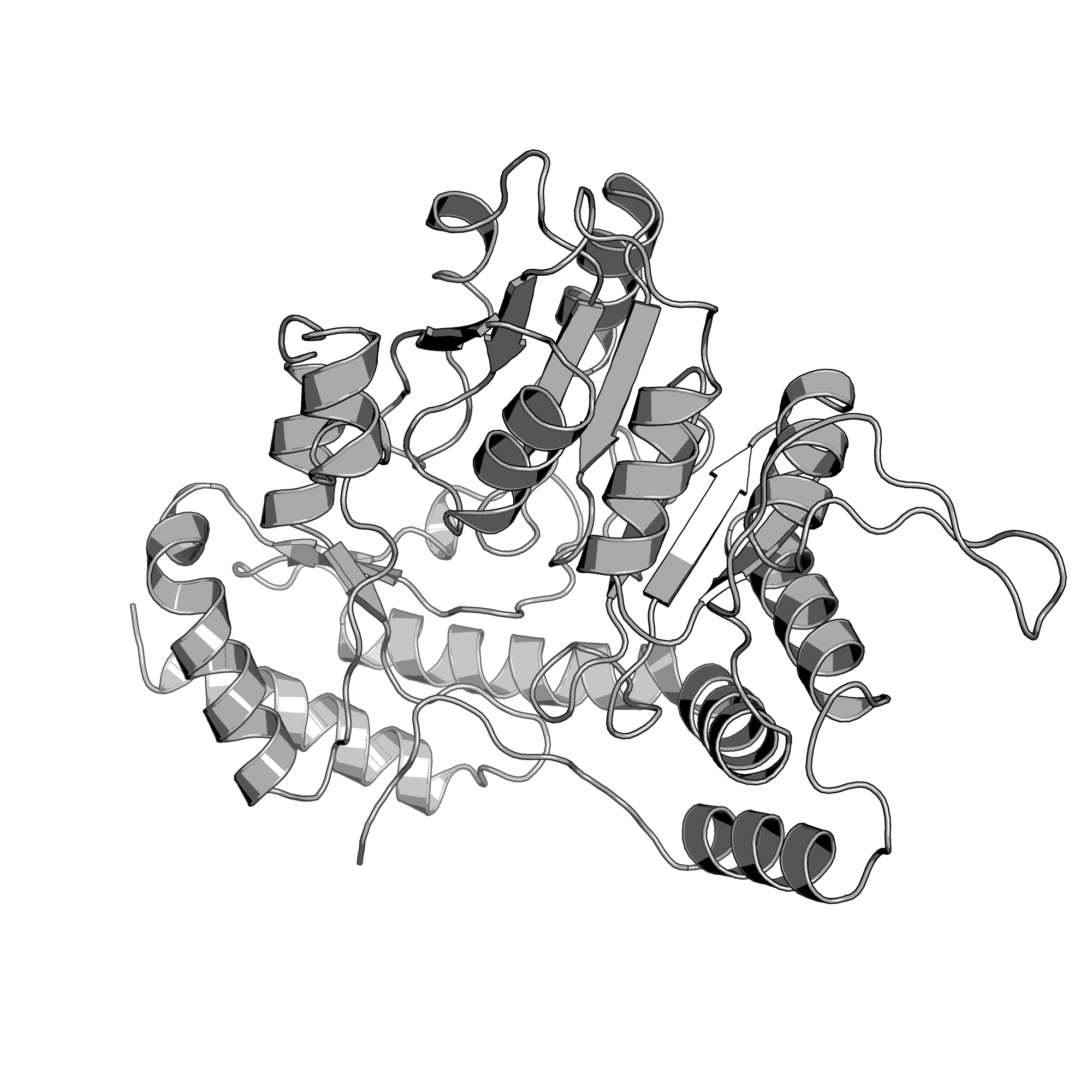 2FN6 structure