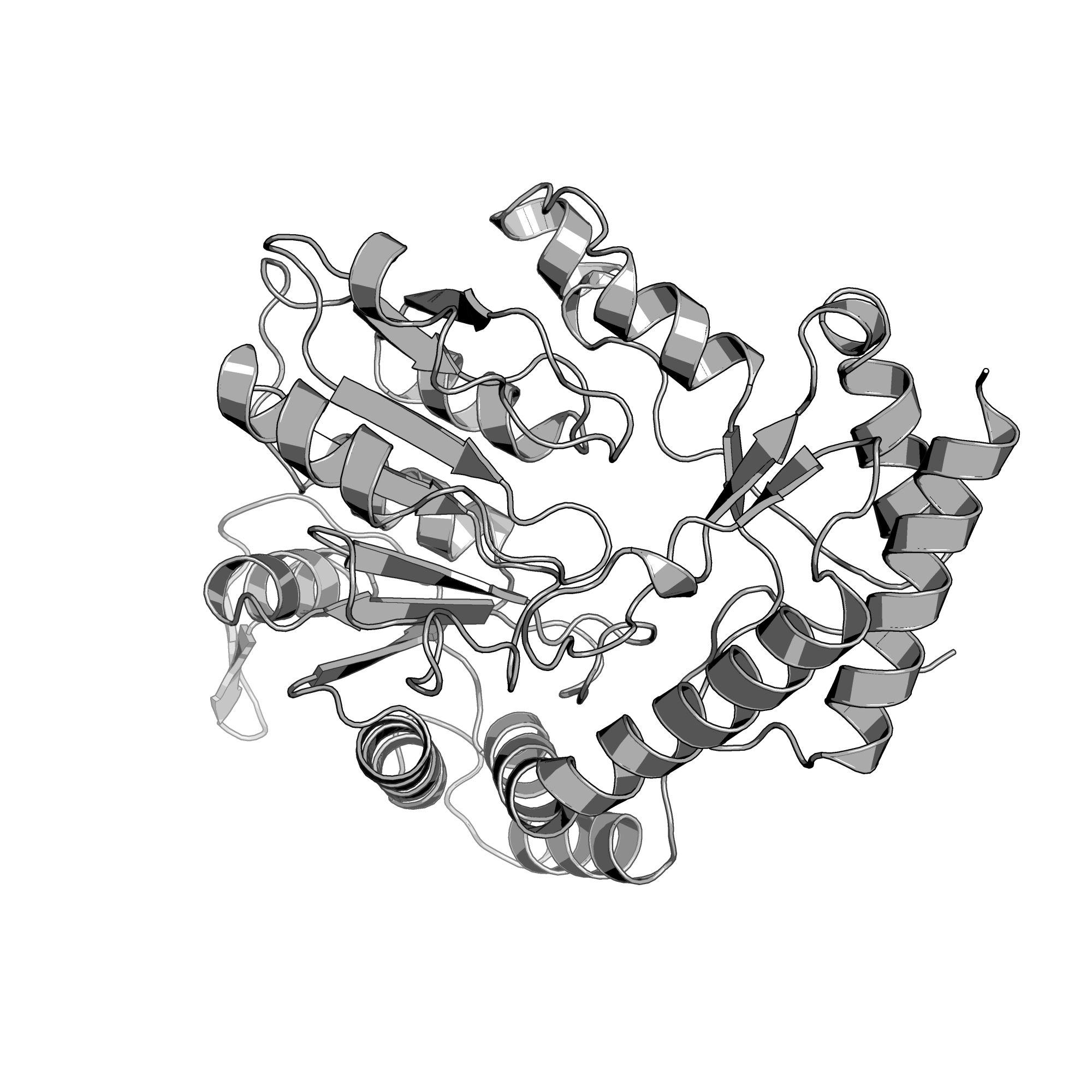 2FNU structure