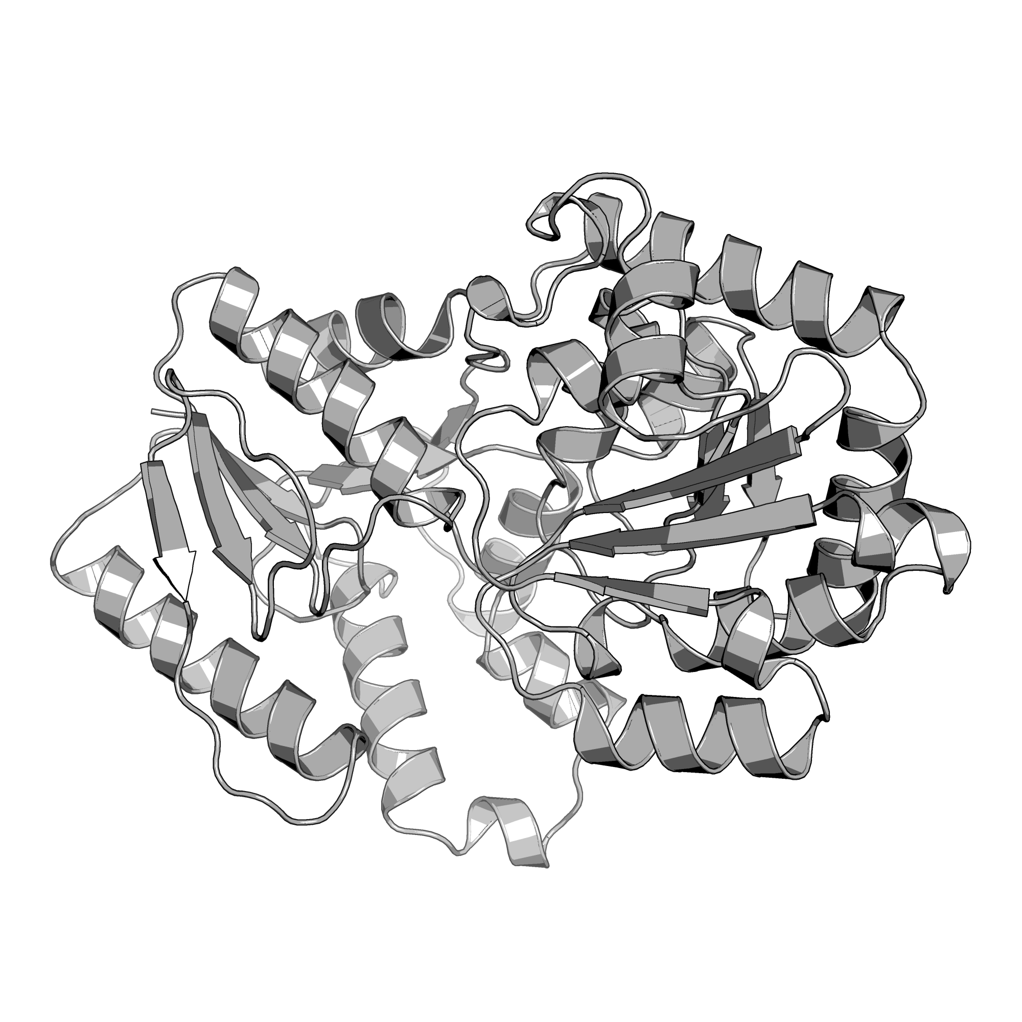2IV7 structure