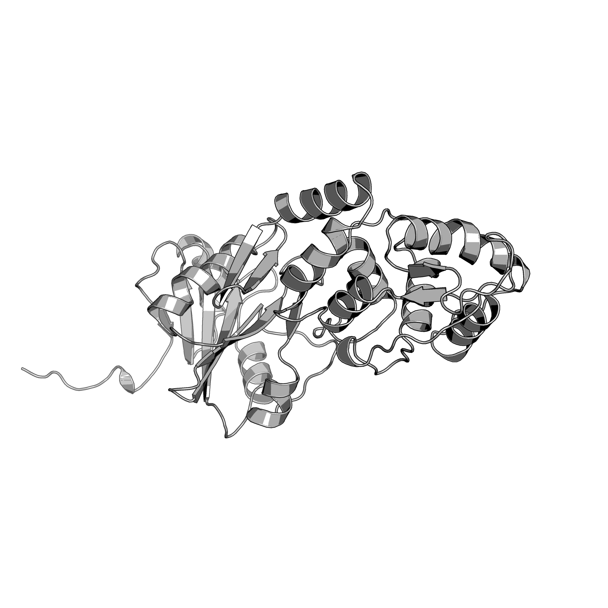 2IXS structure