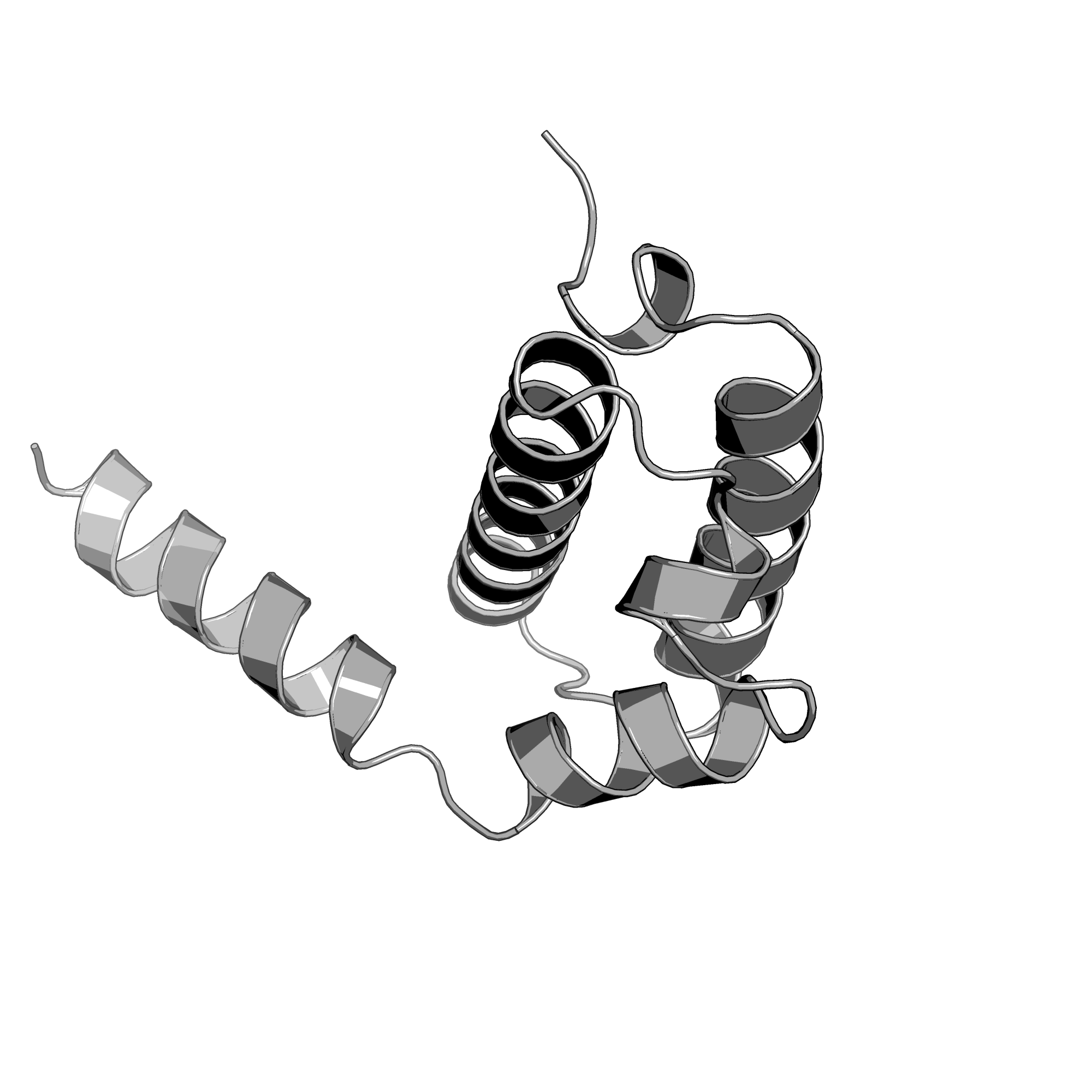 2O4T structure