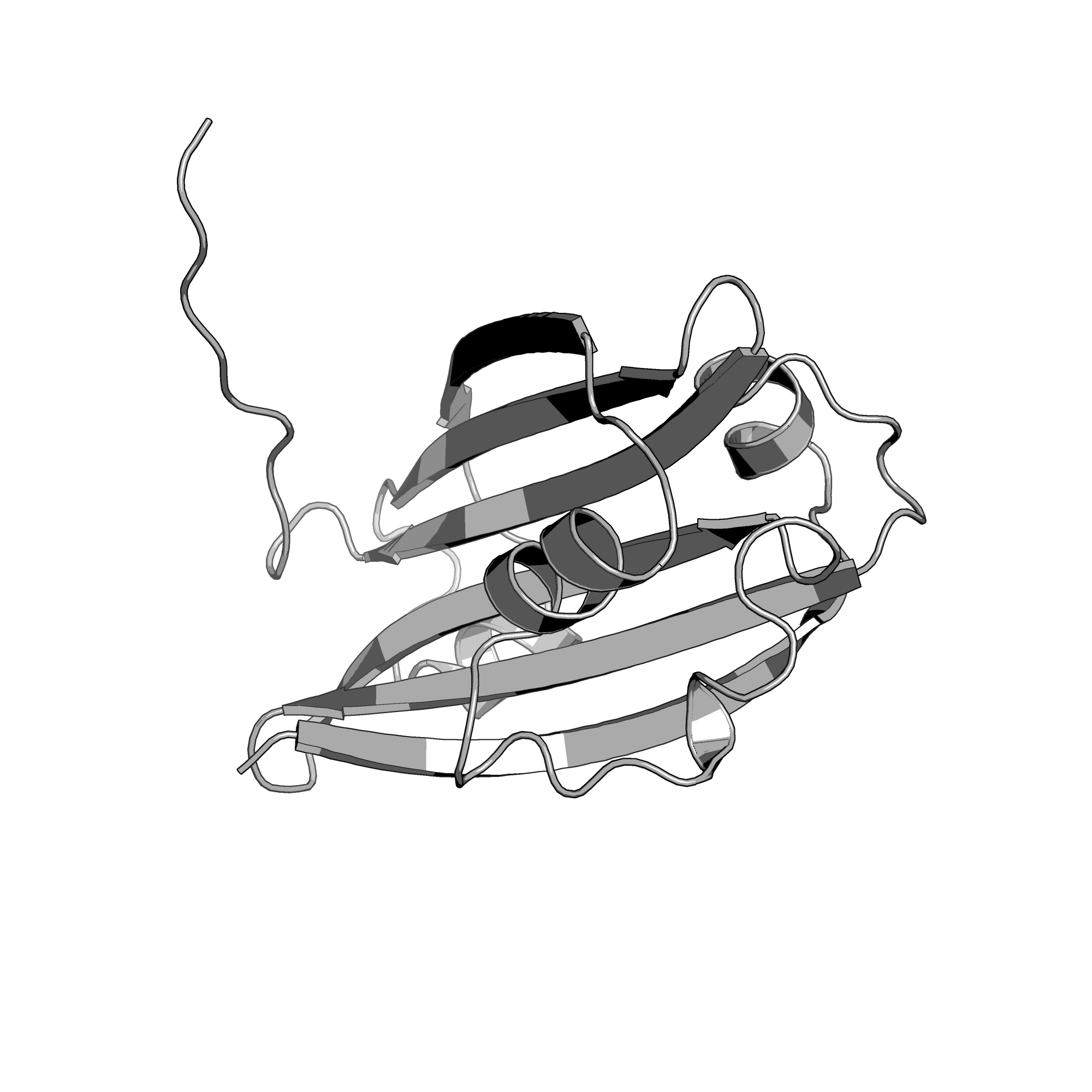 2PKH structure