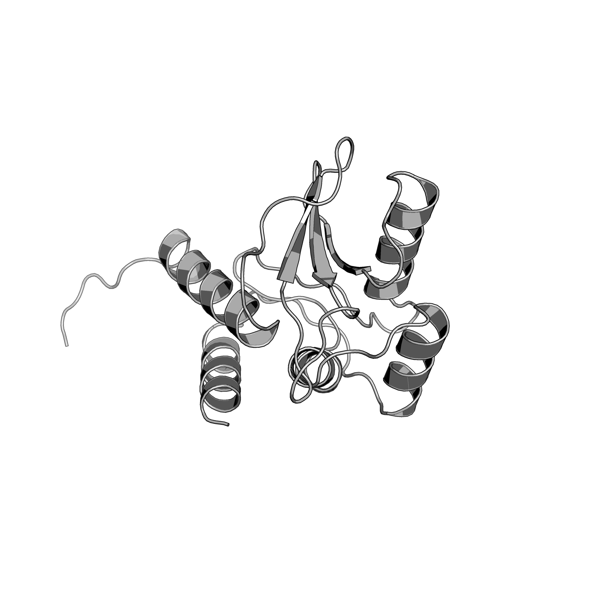 2PRV structure